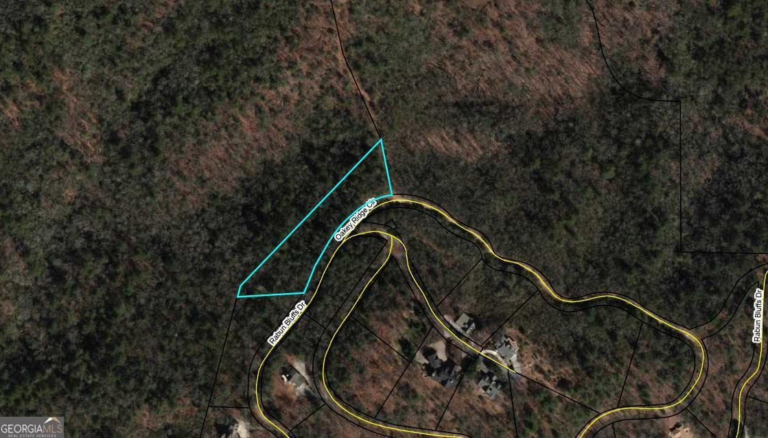 residential lot for sale at 0 Rabun Bluffs Drive, Lakemont, GA 30552 — photo 7
