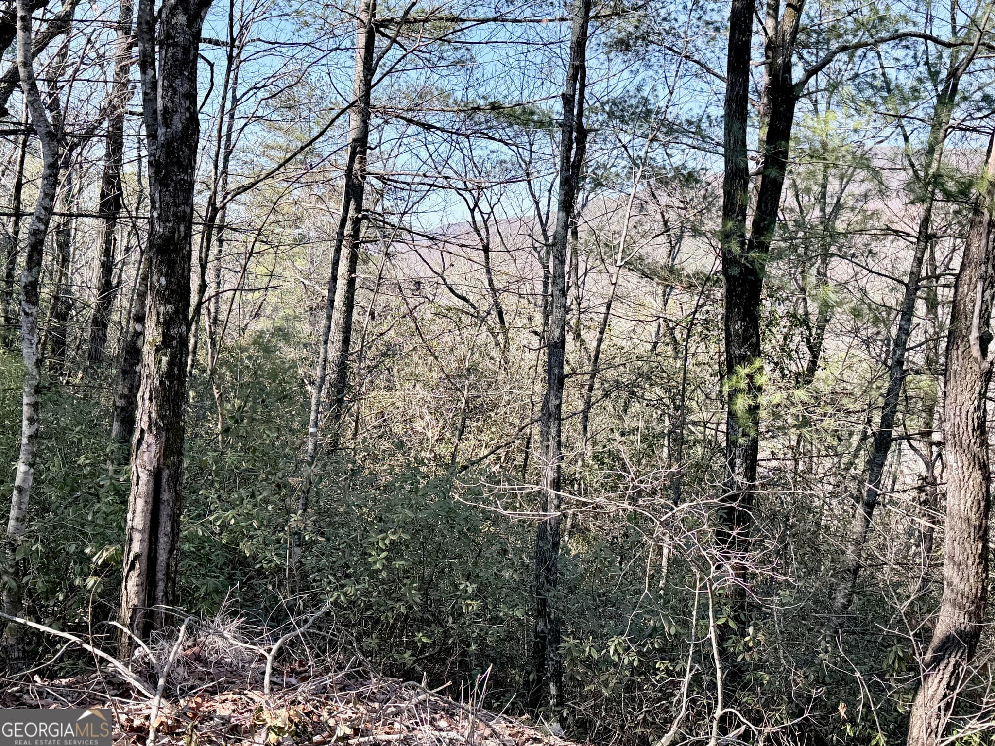 residential lot for sale at 0 Rabun Bluffs Drive, Lakemont, GA 30552 — photo 3