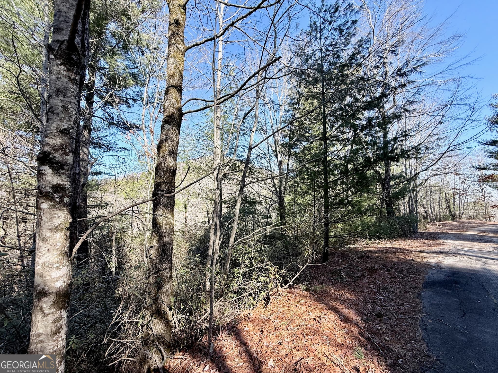 residential lot for sale at 0 Rabun Bluffs Drive, Lakemont, GA 30552 — photo 1 of 7