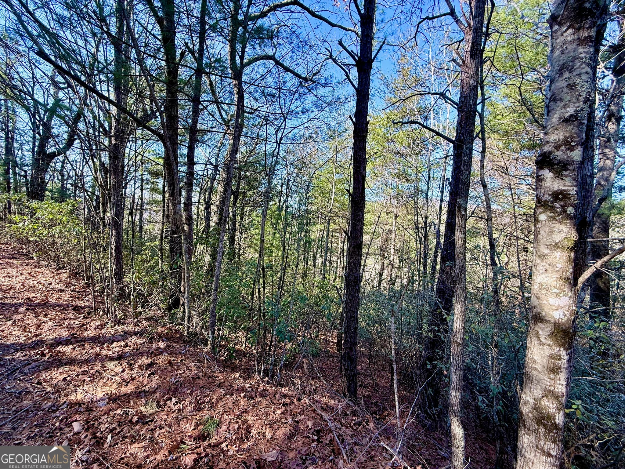 residential lot for sale at 0 Rabun Bluffs Drive, Lakemont, GA 30552 — photo 5
