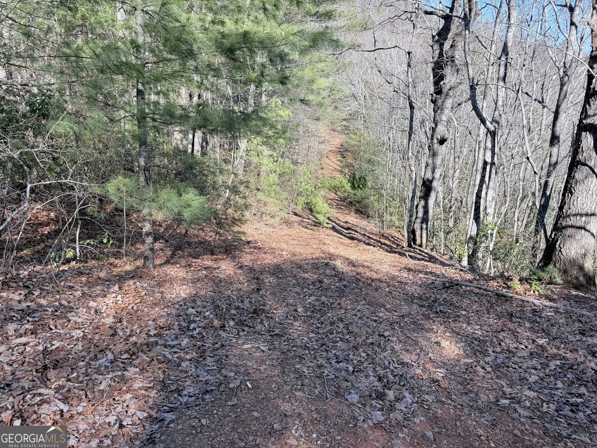 residential lot for sale at 0 Rabun Bluffs Drive, Lakemont, GA 30552 — photo 4