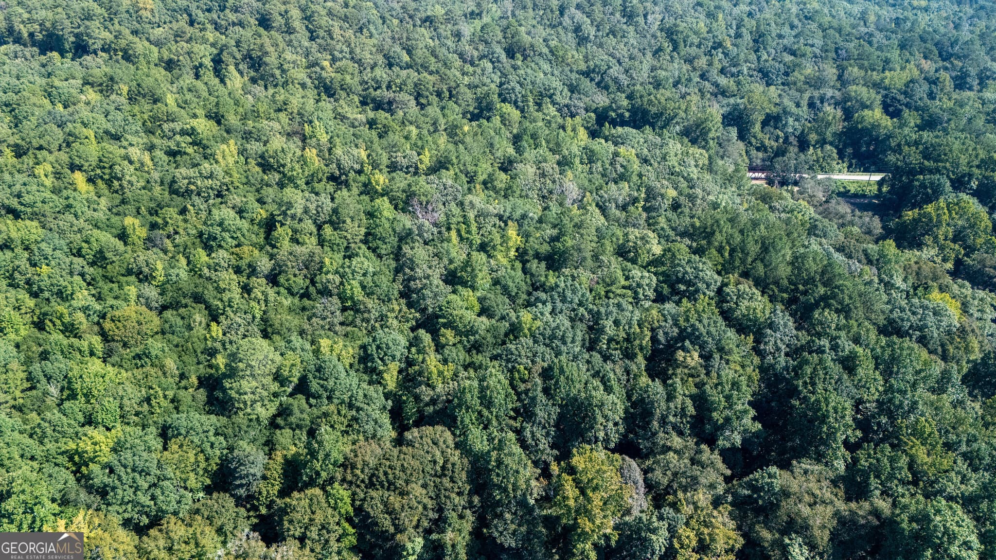 unimproved land for sale at TRACT 2A1-D Salem Road, Lagrange, GA 30241 — photo 9