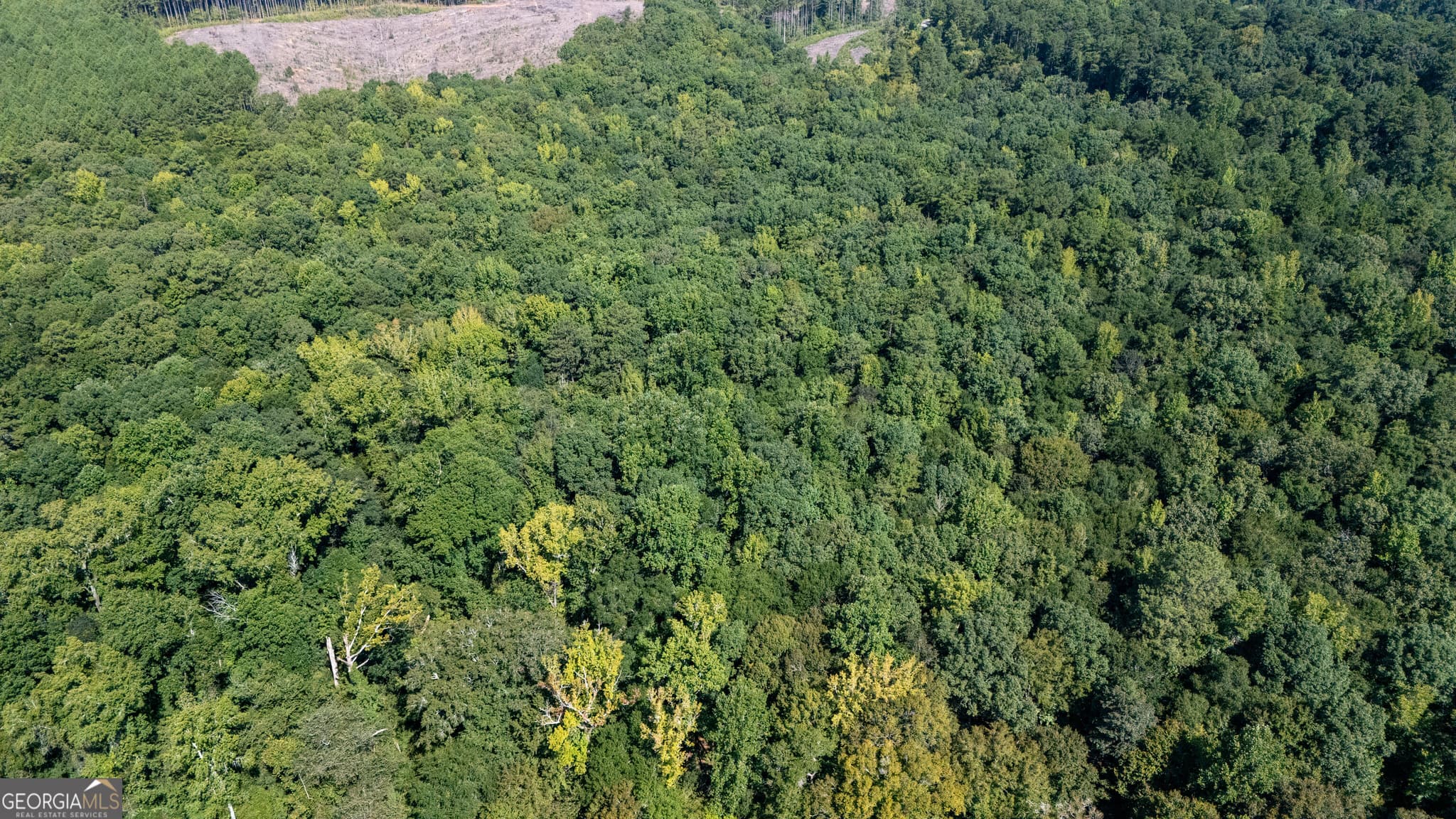 unimproved land for sale at TRACT 2A1-D Salem Road, Lagrange, GA 30241 — photo 10