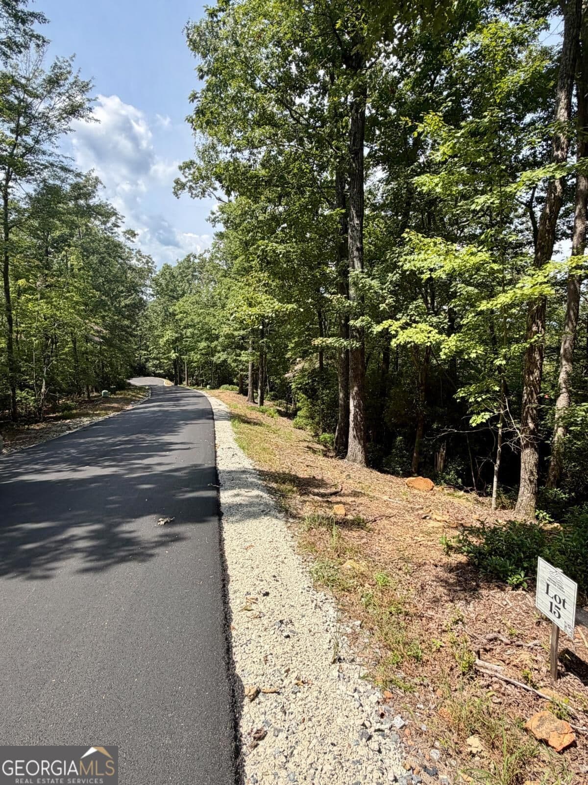 residential lot for sale at LOT 15 Sapphire Ridge, Blue Ridge, GA 30513 — photo 2