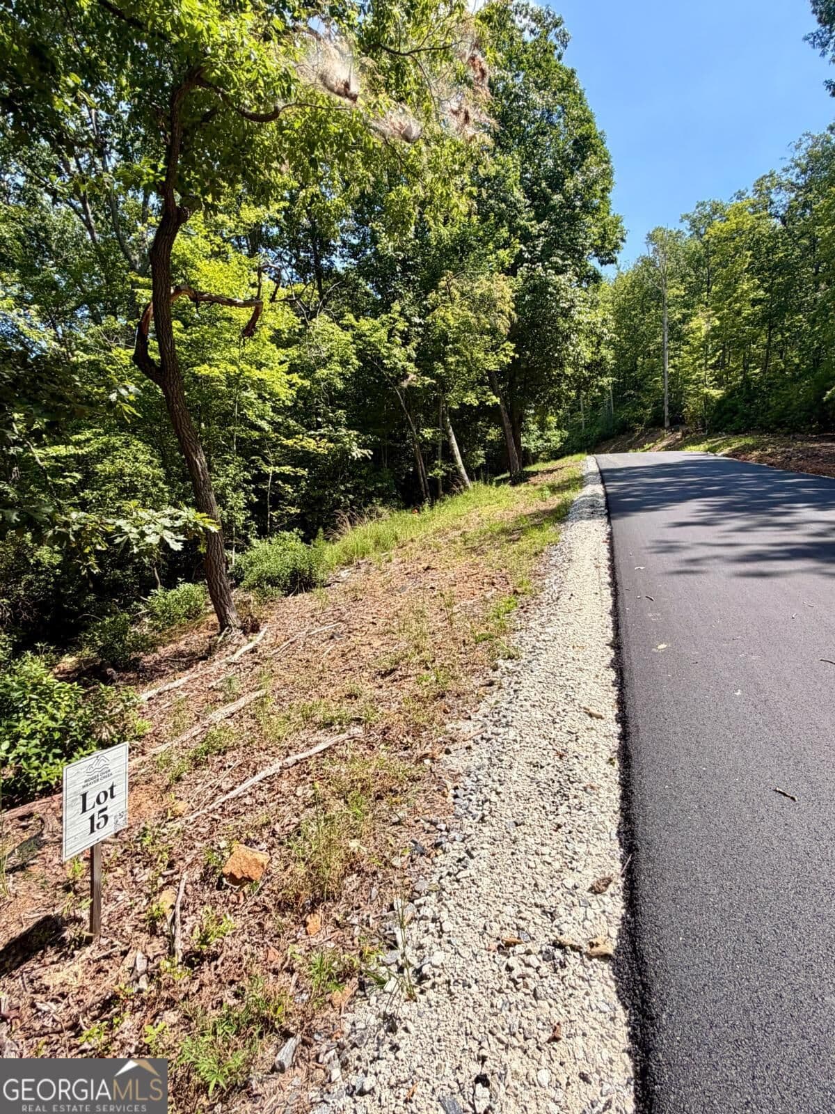 residential lot for sale at LOT 15 Sapphire Ridge, Blue Ridge, GA 30513 — photo 3
