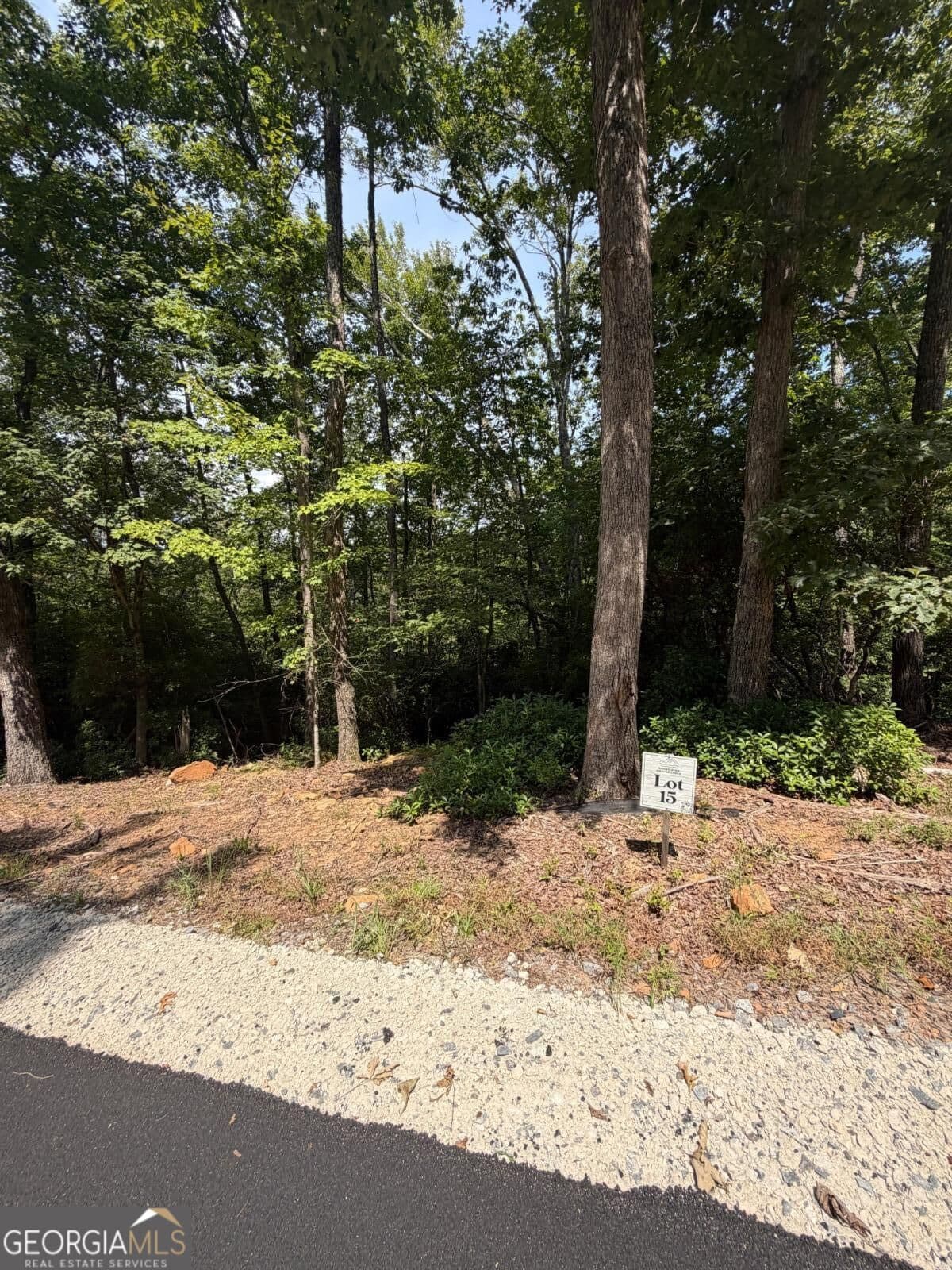 residential lot for sale at LOT 15 Sapphire Ridge, Blue Ridge, GA 30513 — photo 1 of 24