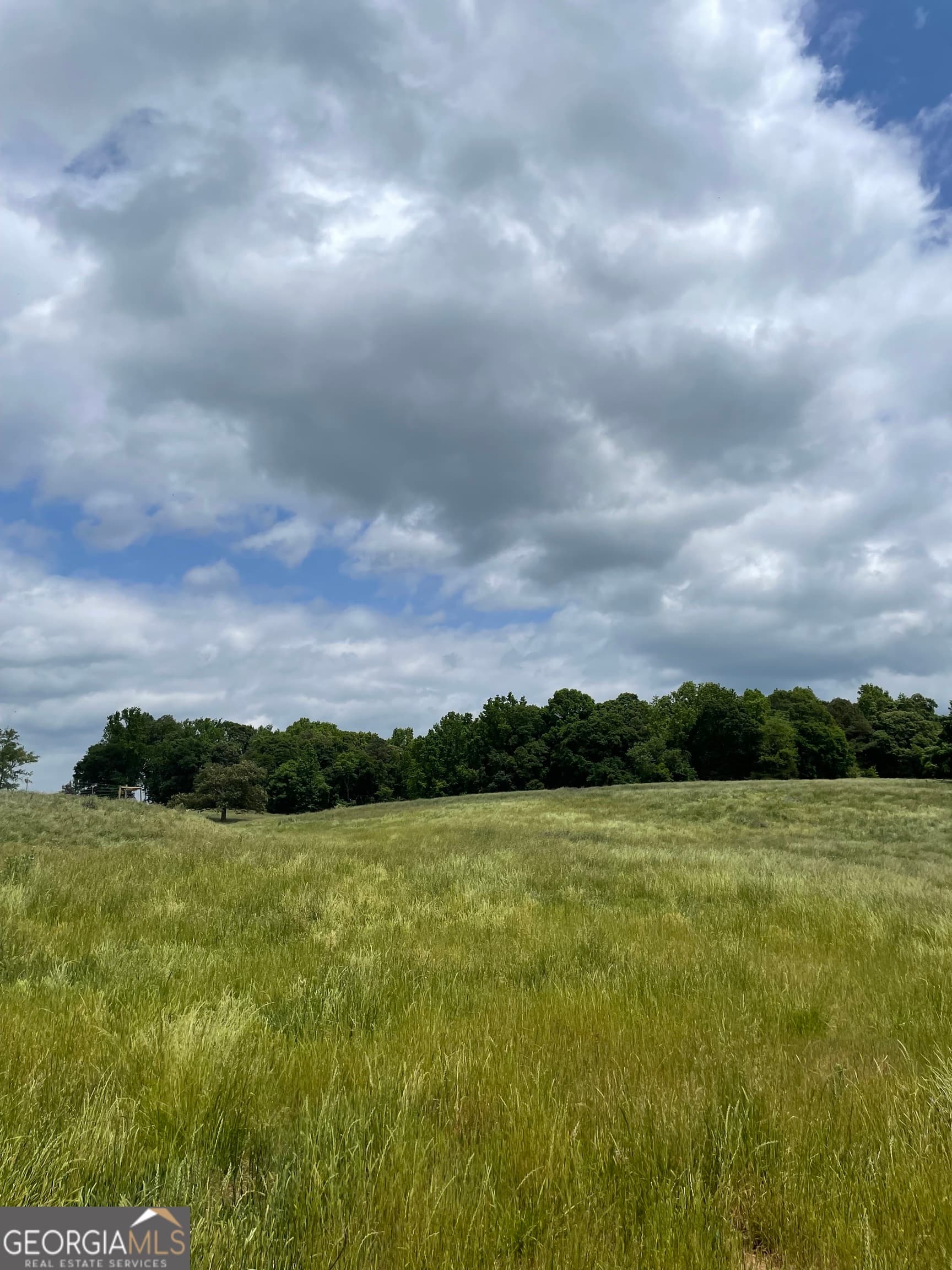agriculture for sale at 0 Quail Run Road, Royston, GA 30662 — photo 2