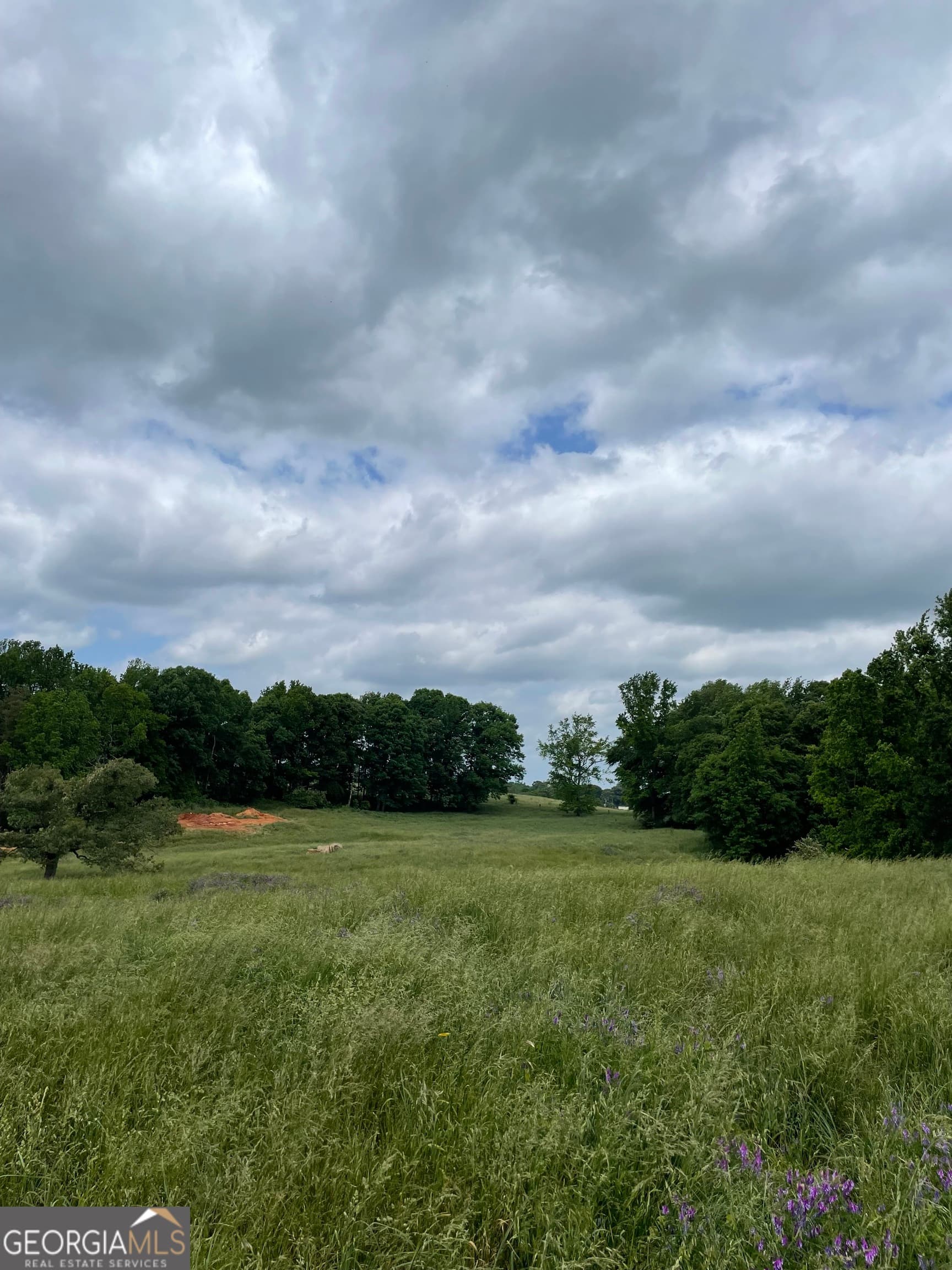 agriculture for sale at 0 Quail Run Road, Royston, GA 30662 — photo 6