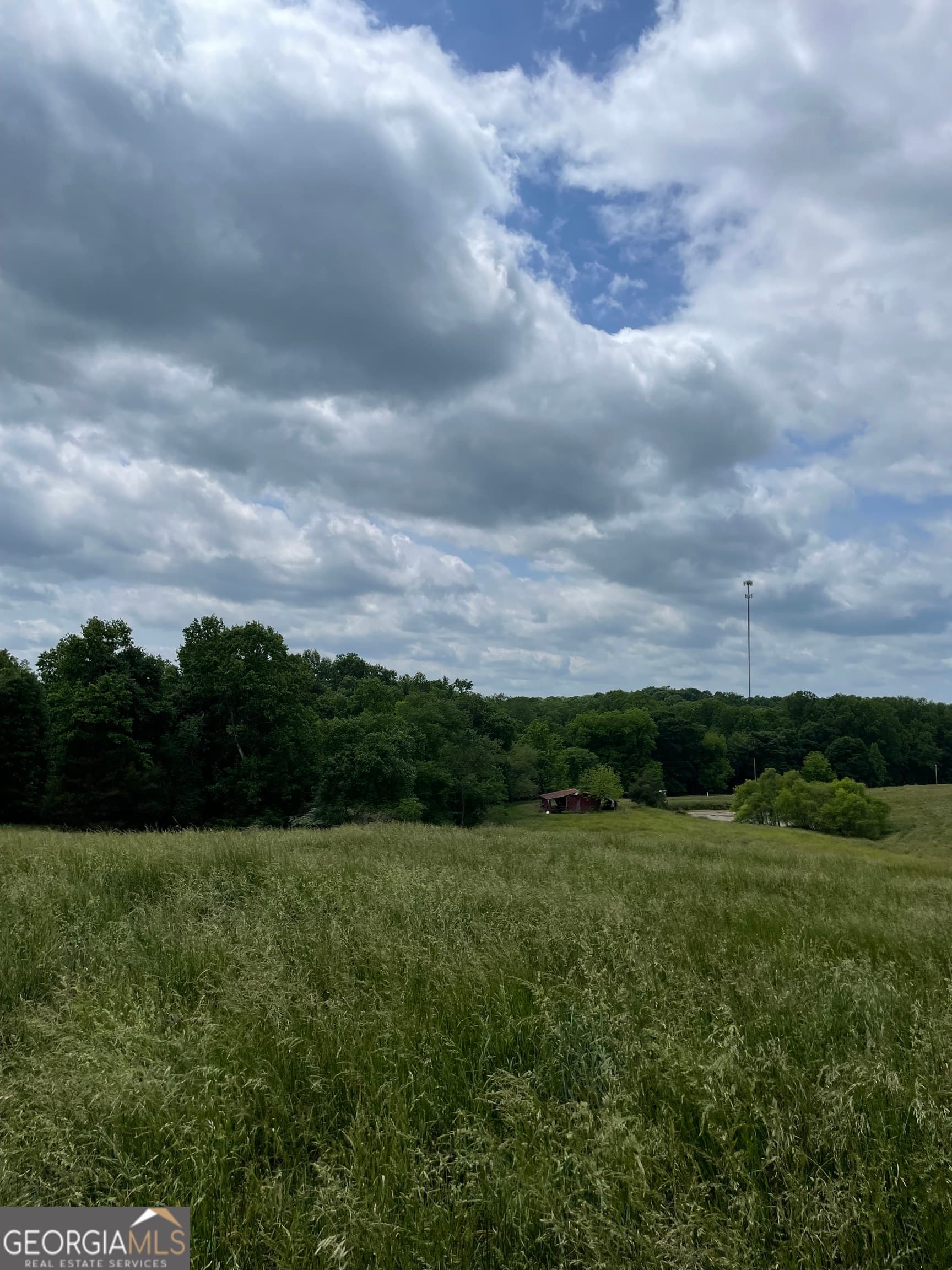 agriculture for sale at 0 Quail Run Road, Royston, GA 30662 — photo 7