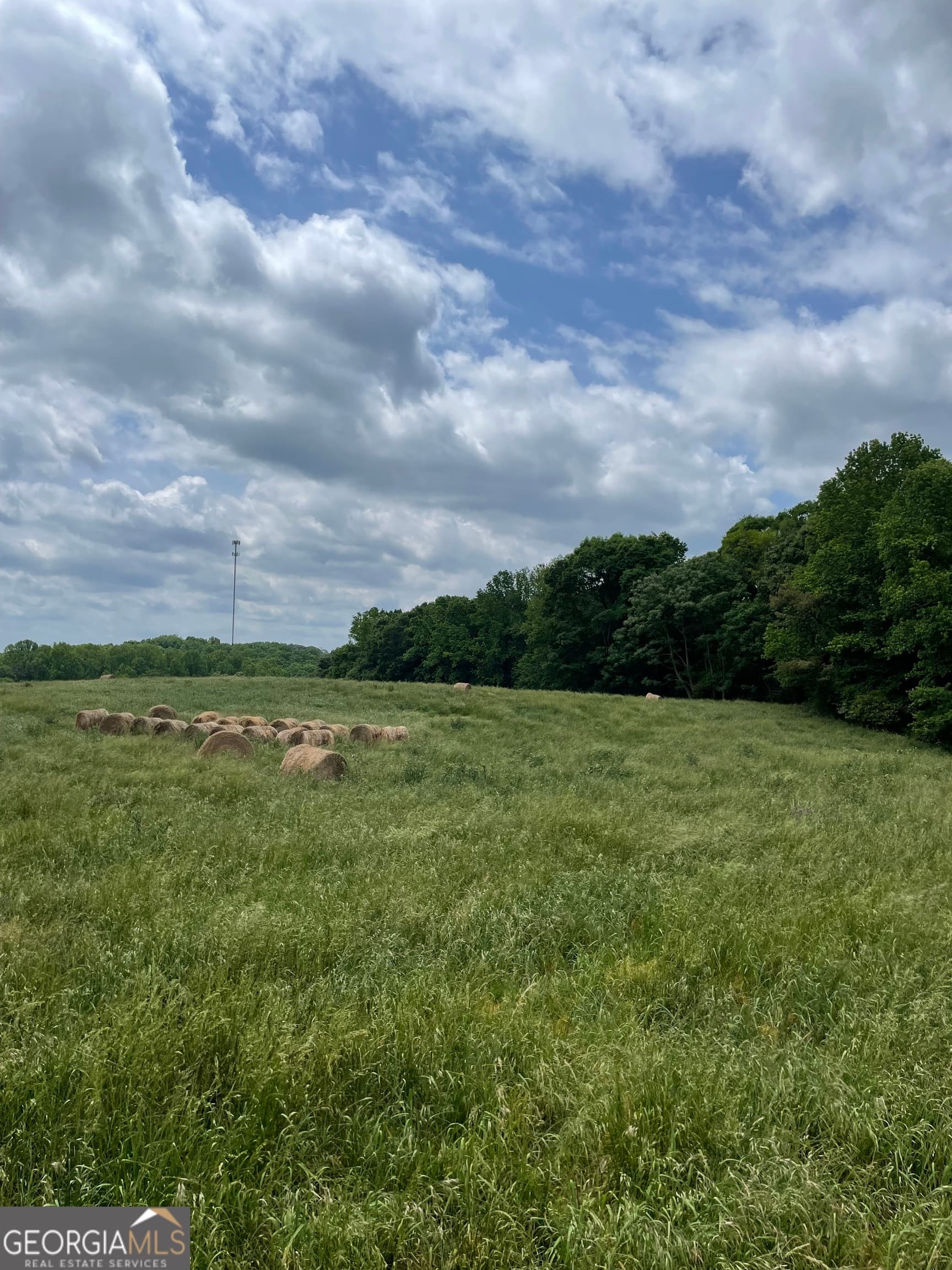 agriculture for sale at 0 Quail Run Road, Royston, GA 30662 — photo 3
