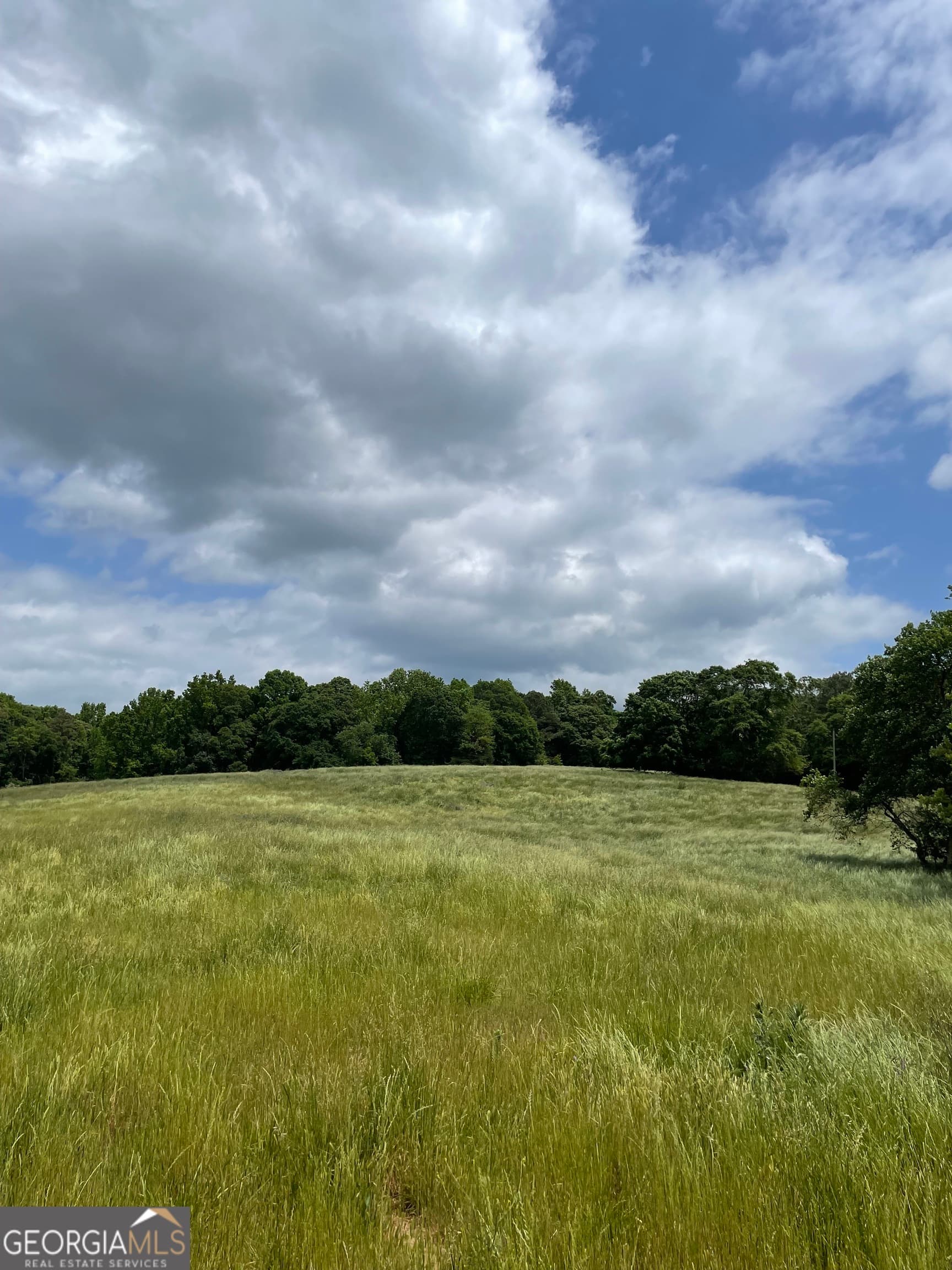 agriculture for sale at 0 Quail Run Road, Royston, GA 30662