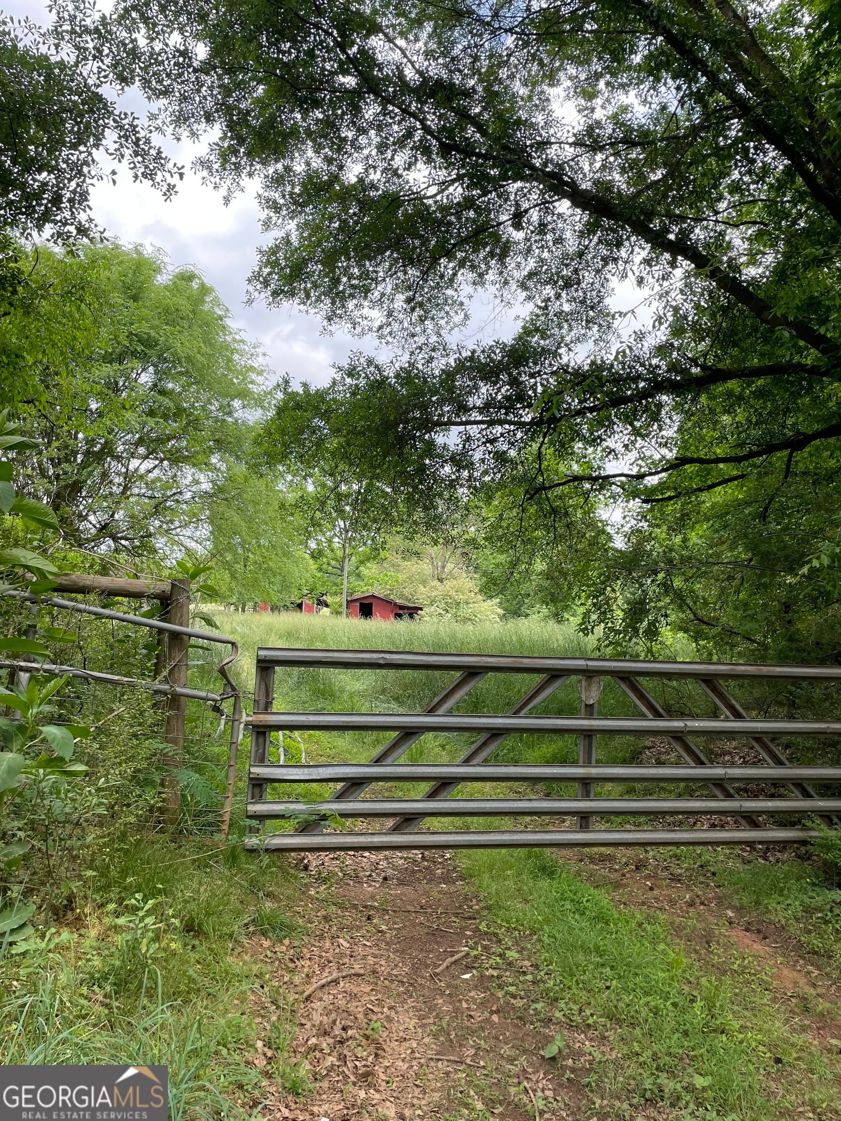 agriculture for sale at 0 Quail Run Road, Royston, GA 30662 — photo 10