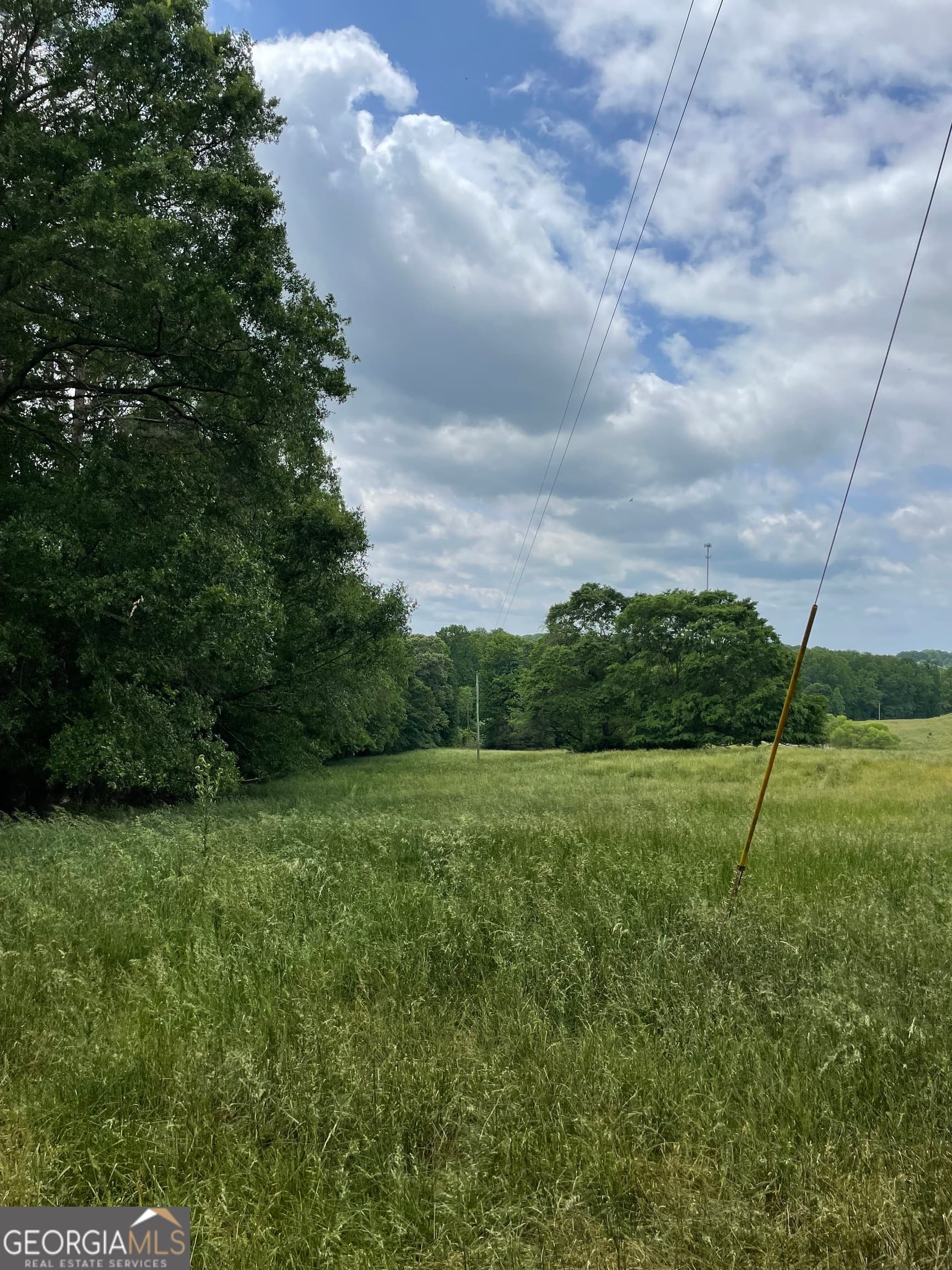 agriculture for sale at 0 Quail Run Road, Royston, GA 30662 — photo 4