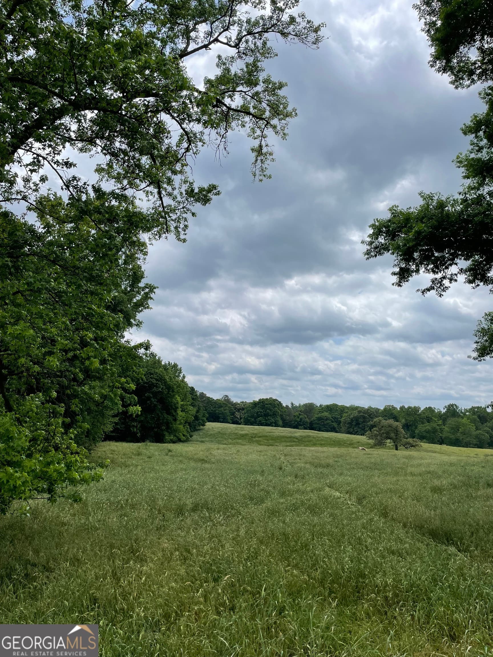 agriculture for sale at 0 Quail Run Road, Royston, GA 30662 — photo 8