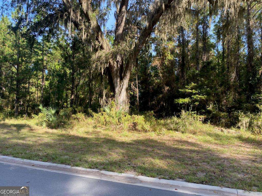 residential lot for sale at LOT 141 Beacon Pointe Parkway, Waverly, GA 31565
