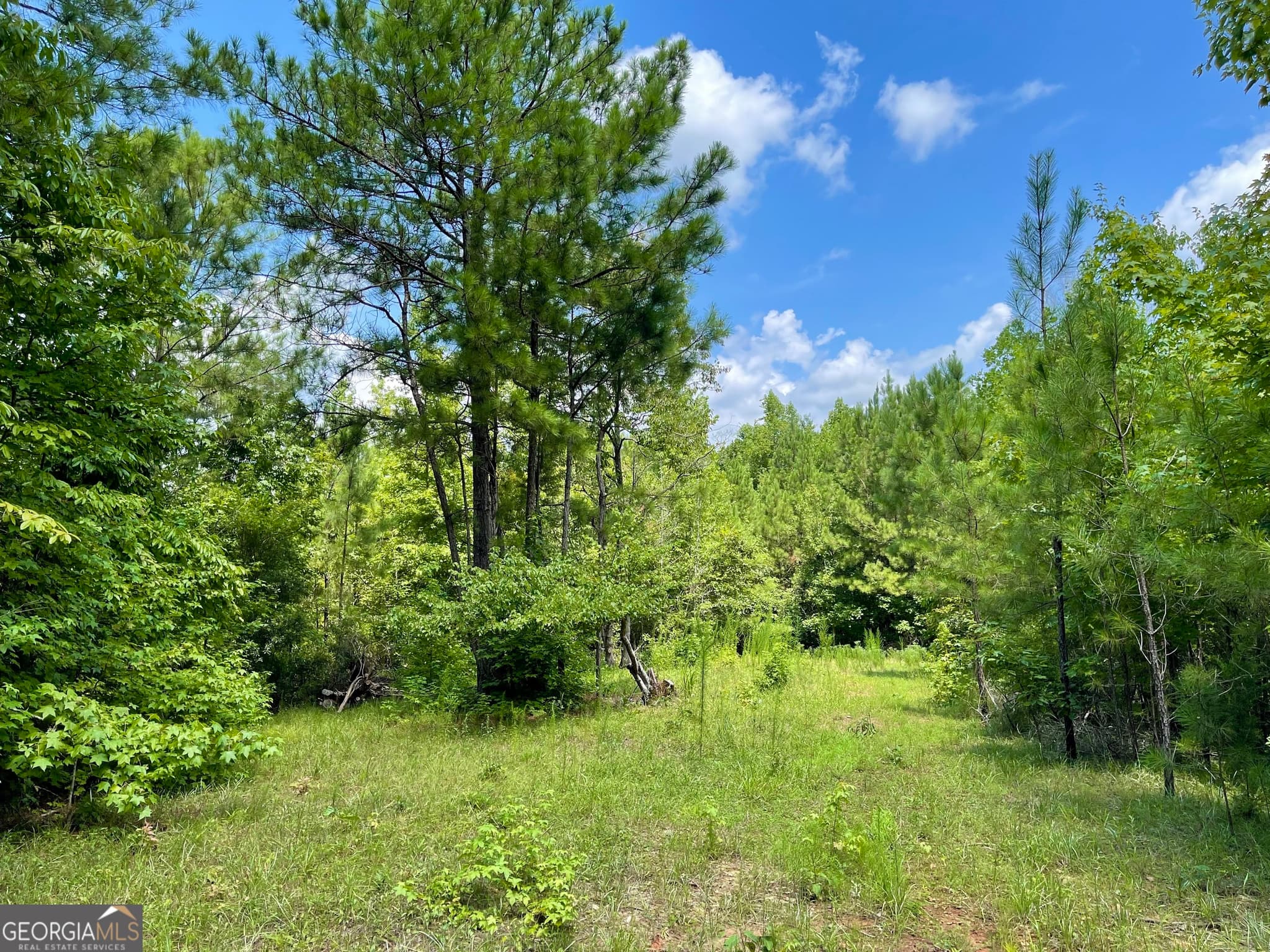 agriculture for sale at 460 WELCOME TO ARNCO Road, Newnan, GA 30263 — photo 2