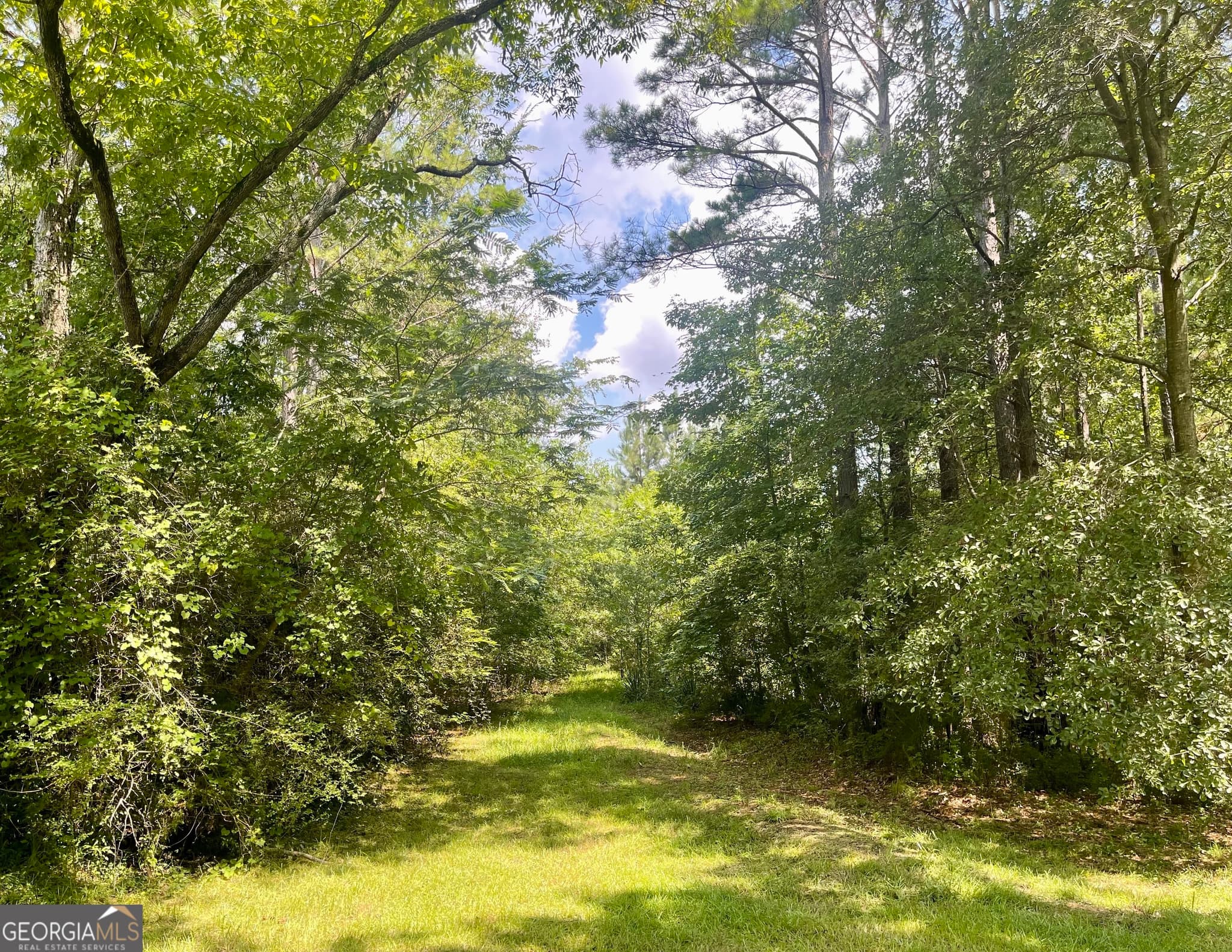agriculture for sale at 460 WELCOME TO ARNCO Road, Newnan, GA 30263 — photo 6