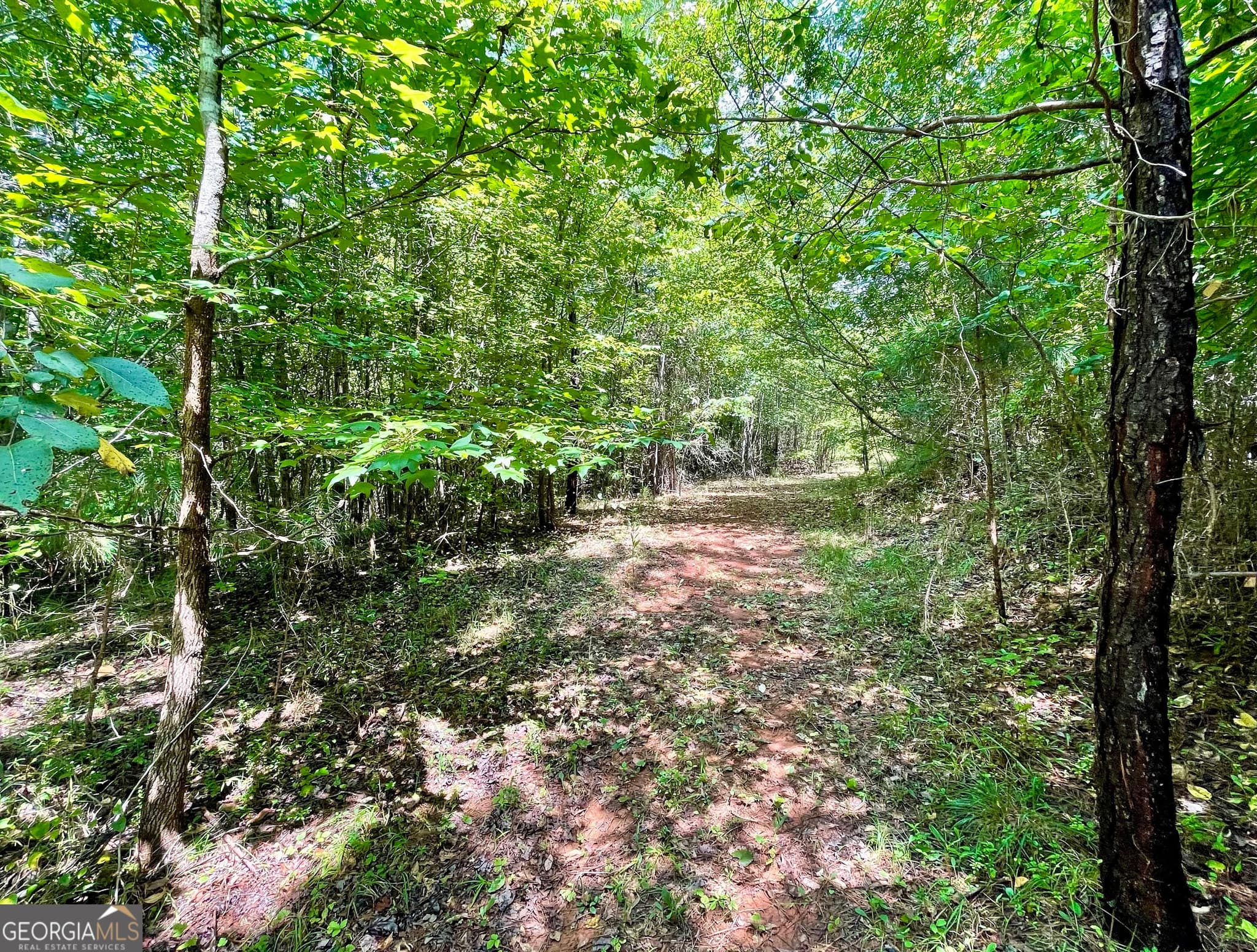 agriculture for sale at 460 WELCOME TO ARNCO Road, Newnan, GA 30263 — photo 7