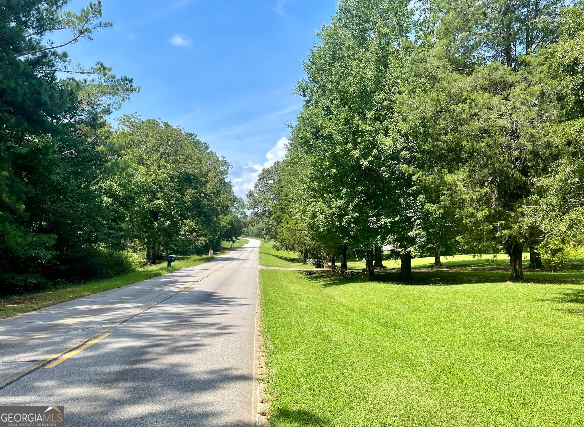 agriculture for sale at 460 WELCOME TO ARNCO Road, Newnan, GA 30263 — photo 3