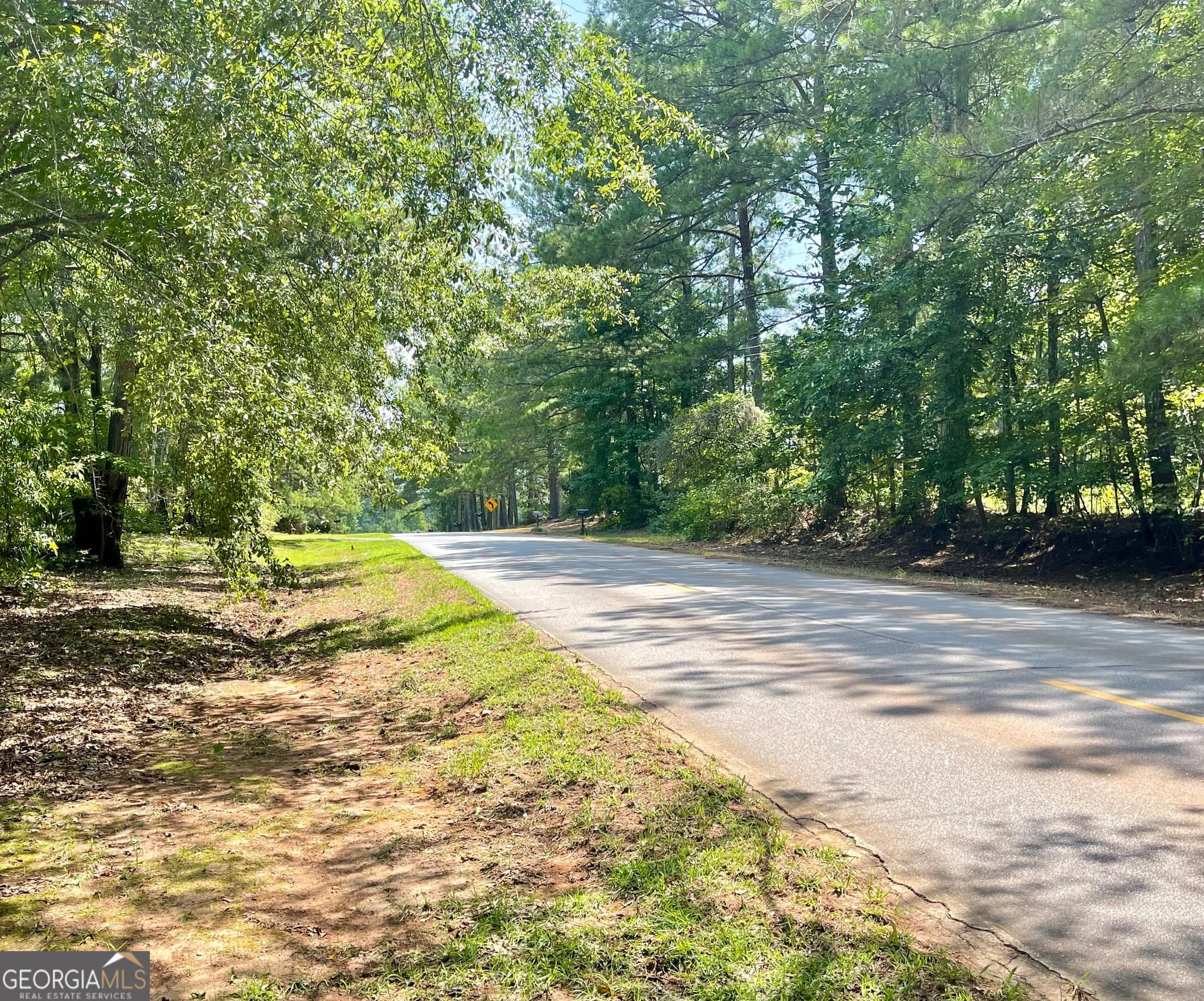 agriculture for sale at 460 WELCOME TO ARNCO Road, Newnan, GA 30263 — photo 5