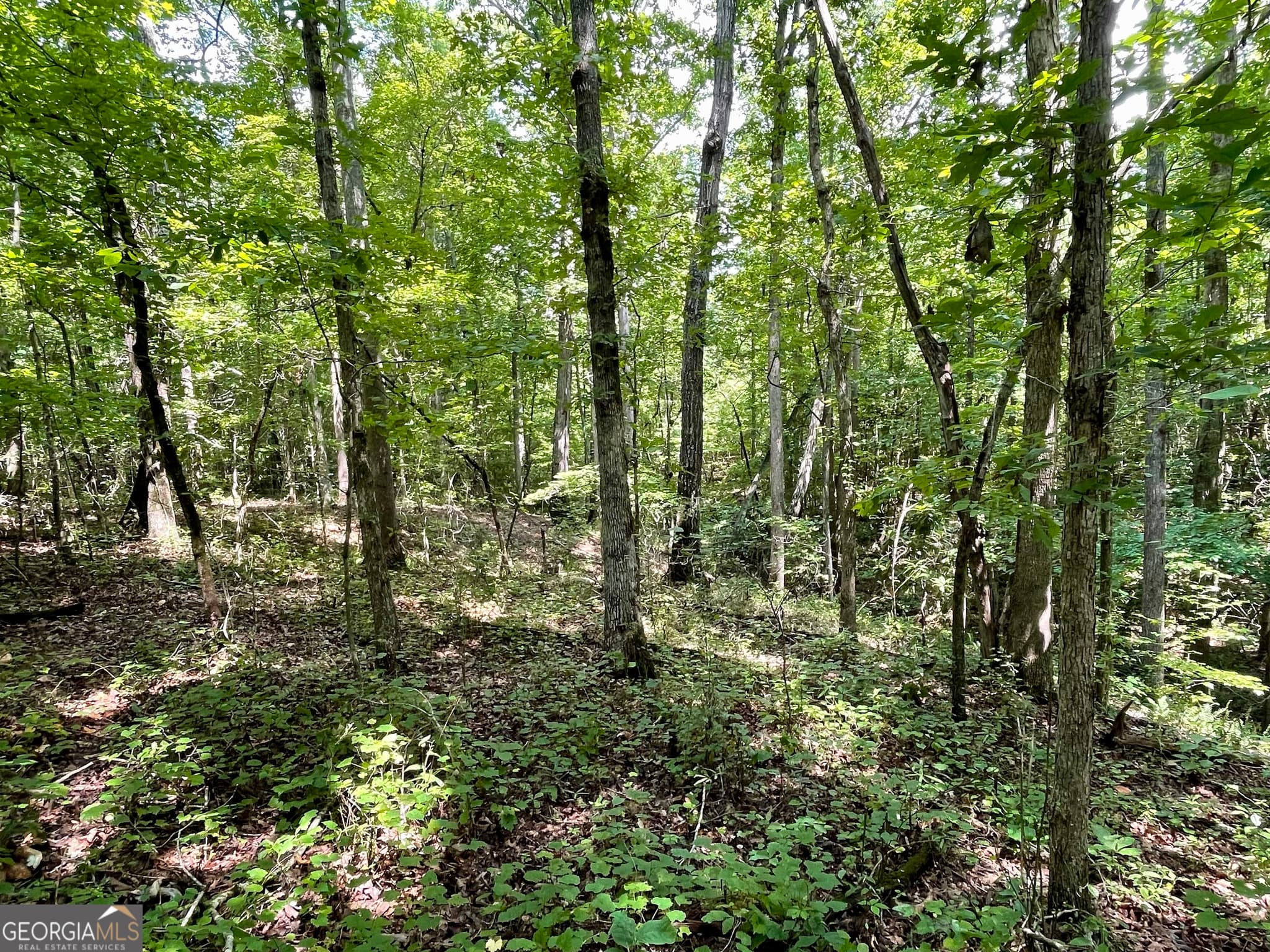 agriculture for sale at 460 WELCOME TO ARNCO Road, Newnan, GA 30263 — photo 9