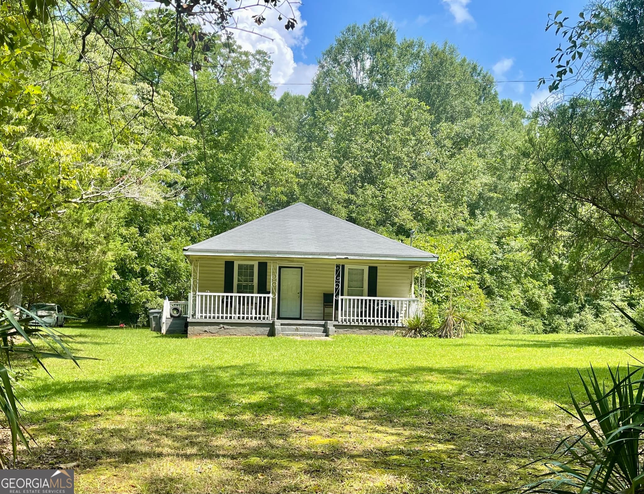 agriculture for sale at 460 WELCOME TO ARNCO Road, Newnan, GA 30263 — photo 4