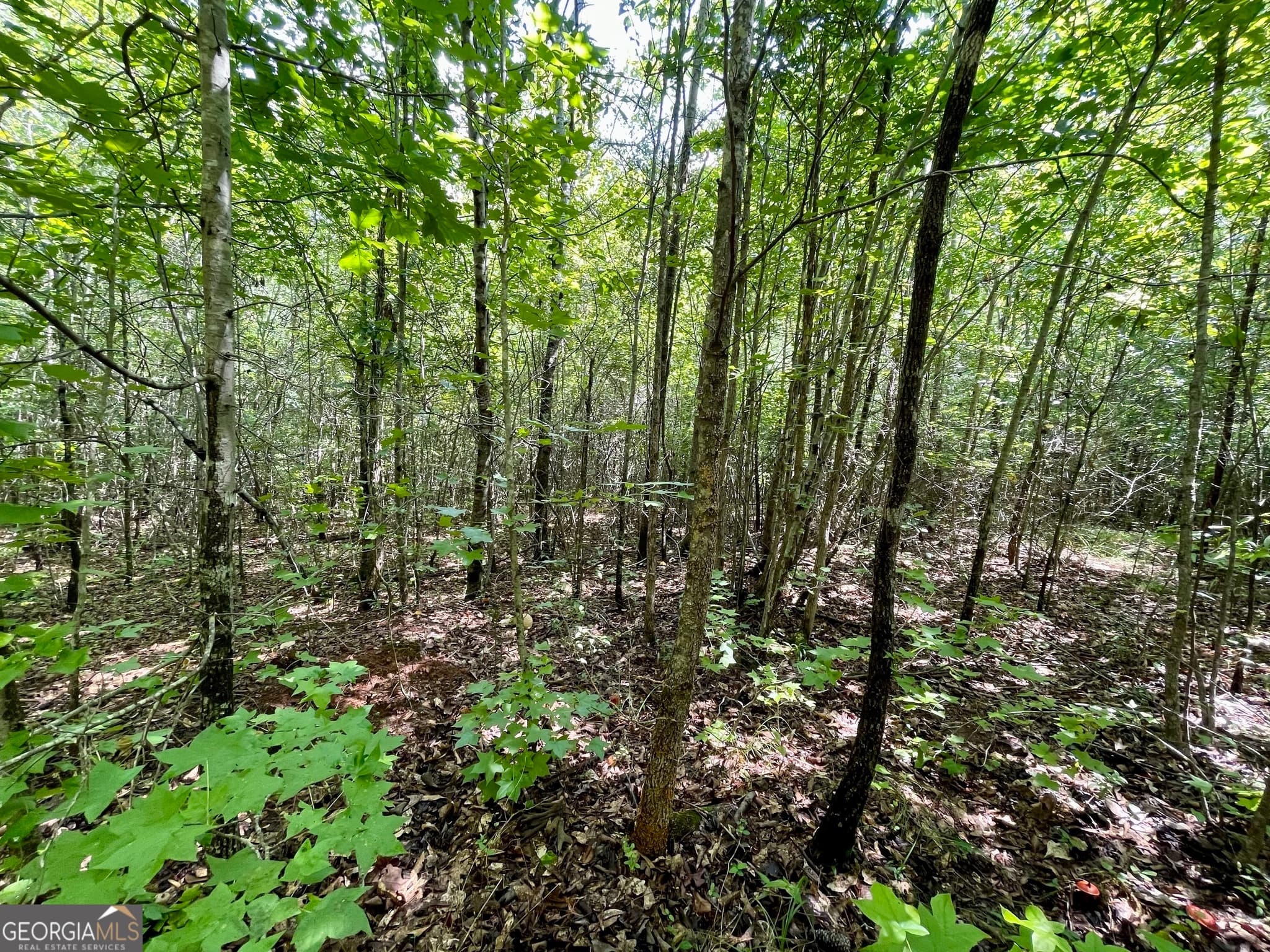 agriculture for sale at 460 WELCOME TO ARNCO Road, Newnan, GA 30263 — photo 8