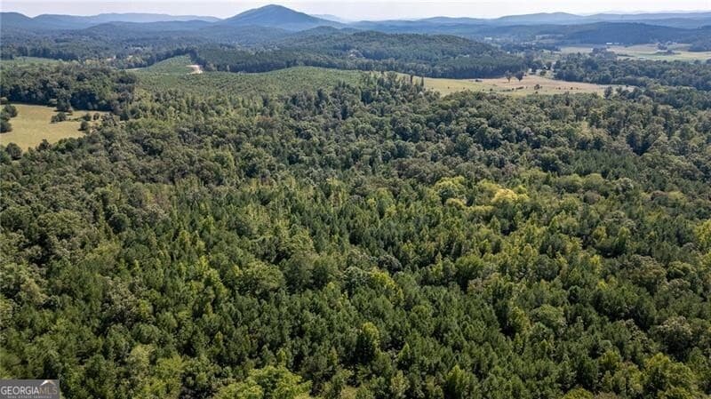 unimproved land for sale at 0 Townsend Road, Lafayette, GA 30728 — photo 6