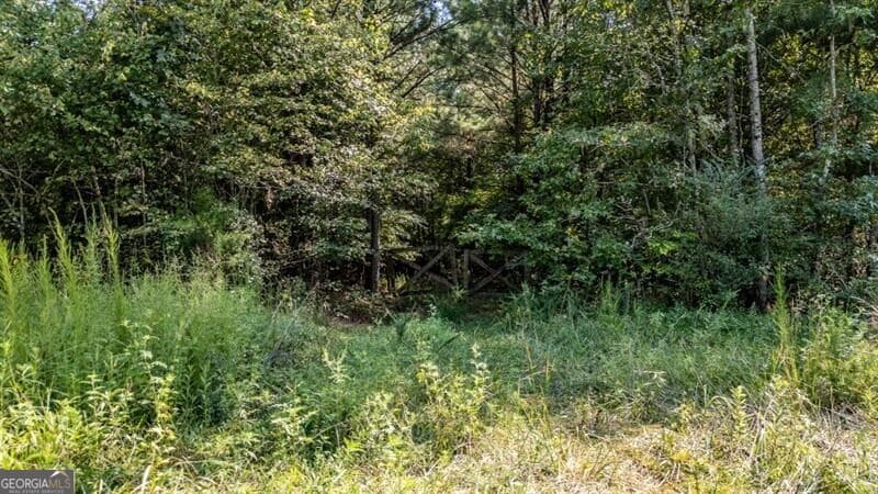 unimproved land for sale at 0 Townsend Road, Lafayette, GA 30728 — photo 3