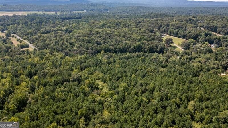 unimproved land for sale at 0 Townsend Road, Lafayette, GA 30728 — photo 4
