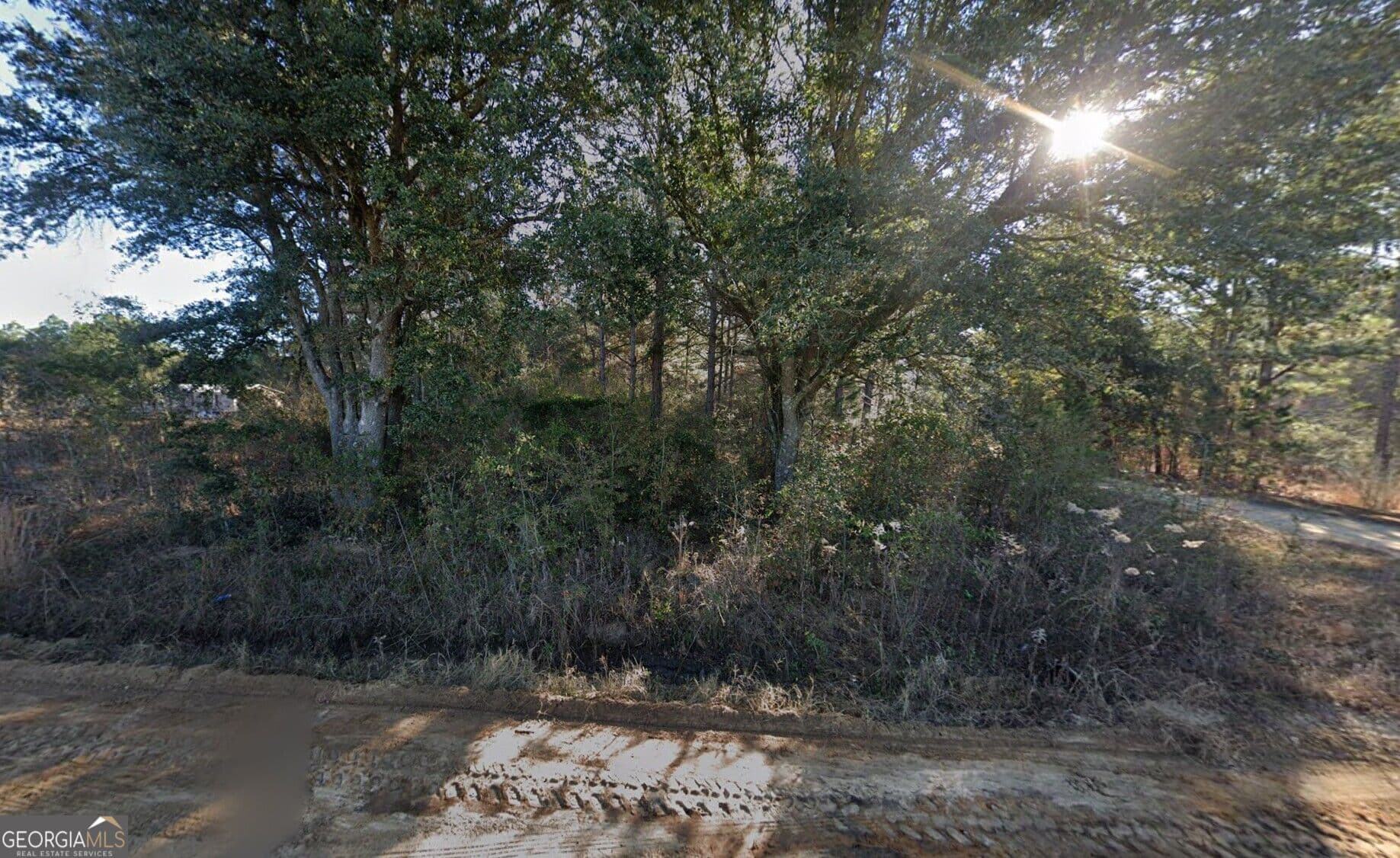 residential lot for sale at 2125 Massey Airport Road, Sylvester, GA 31791 — photo 2