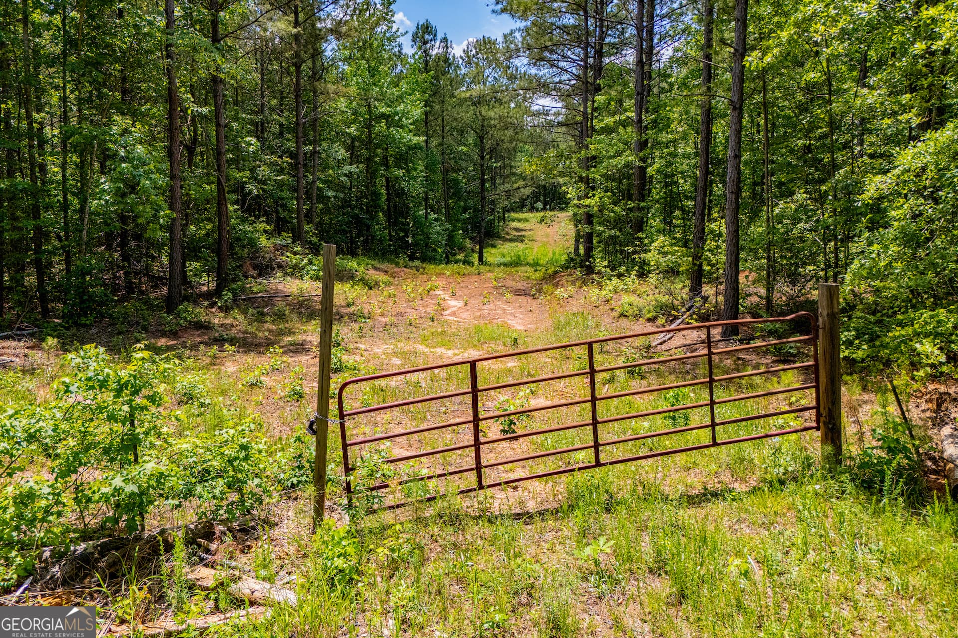 agriculture for sale at US Highway 78, Waco, GA 30182 — photo 3