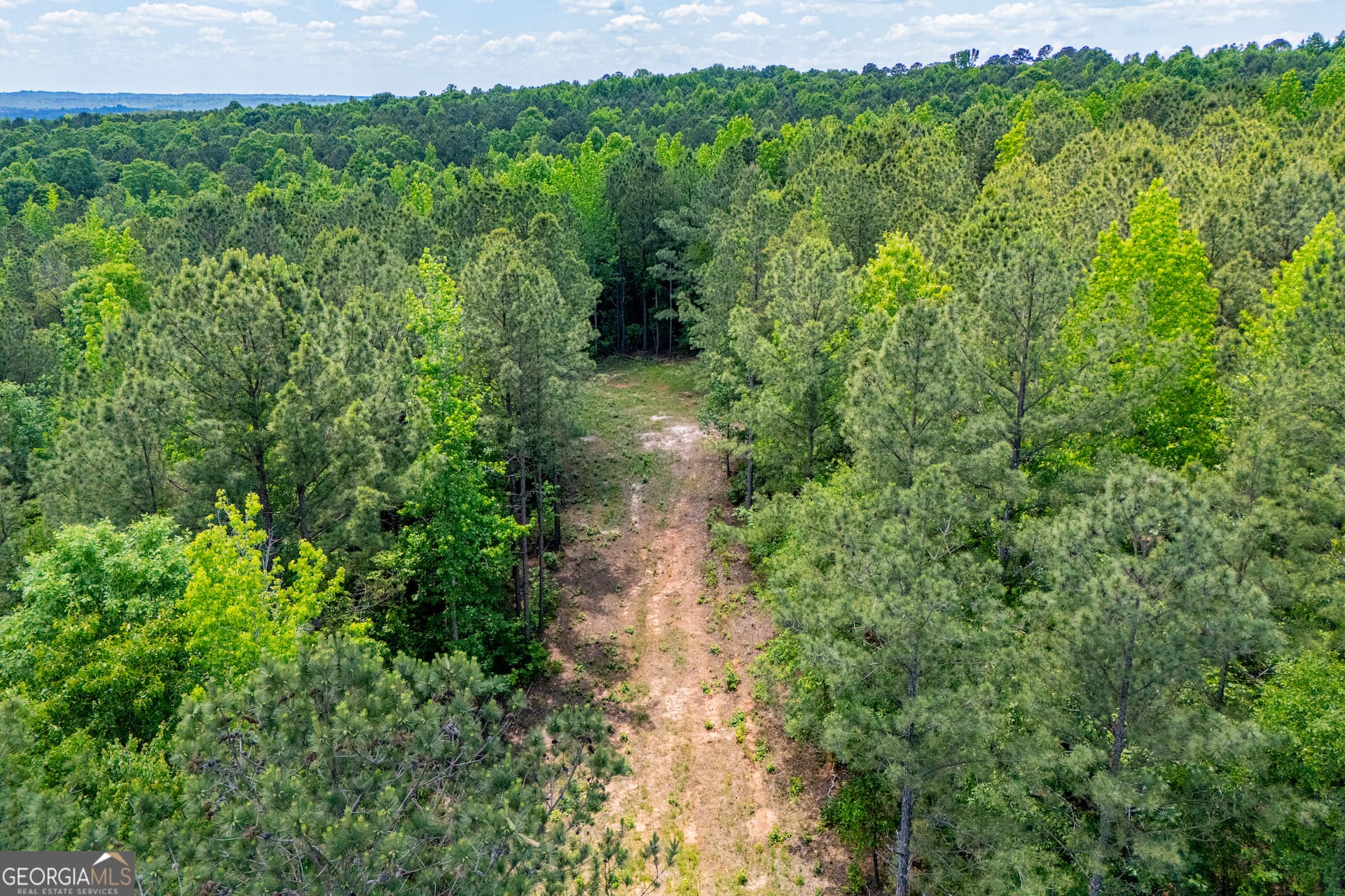 agriculture for sale at US Highway 78, Waco, GA 30182 — photo 5