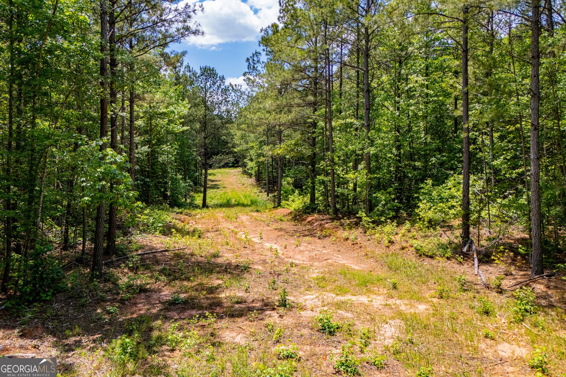 agriculture for sale at US Highway 78, Waco, GA 30182 — photo 4