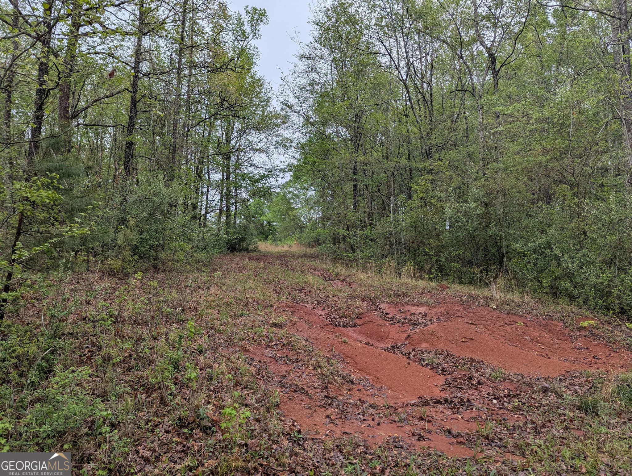 residential lot for sale at 0 Fischer Spur Road, Newnan, GA 30265 — photo 2