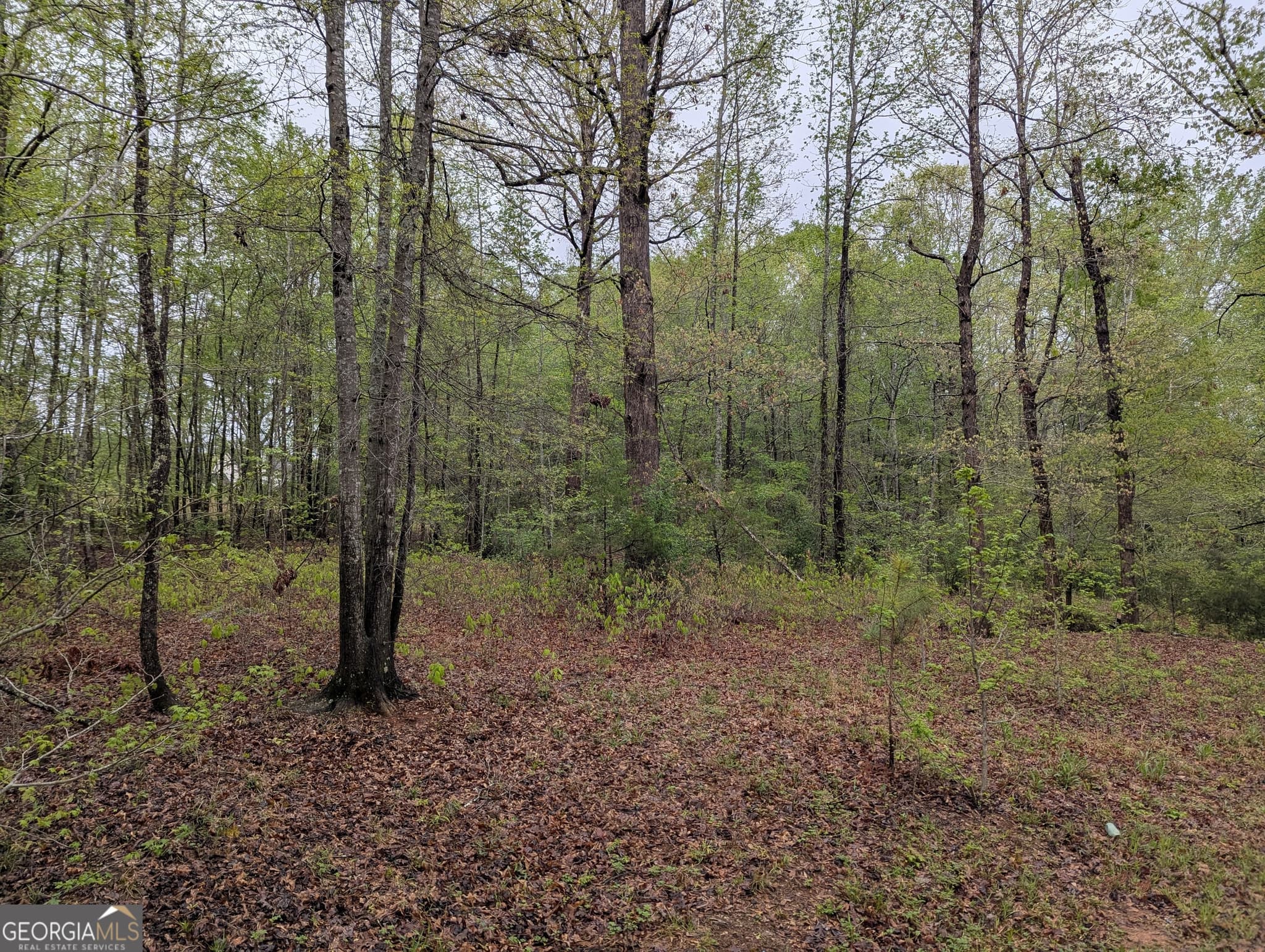 residential lot for sale at 0 Fischer Spur Road, Newnan, GA 30265 — photo 3