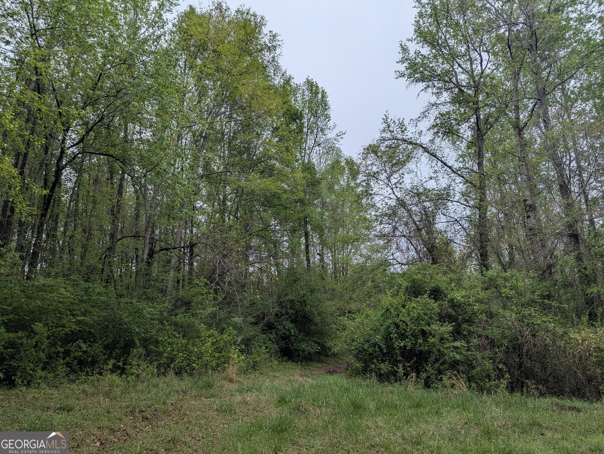 residential lot for sale at 0 Fischer Spur Road, Newnan, GA 30265 — photo 4