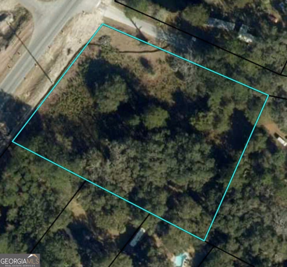 unimproved land for sale at 116 Smith Road, Brunswick, GA 31522 — photo 2