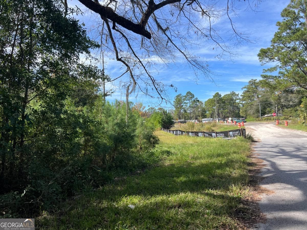 unimproved land for sale at 116 Smith Road, Brunswick, GA 31522 — photo 6