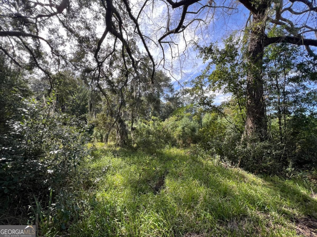 unimproved land for sale at 116 Smith Road, Brunswick, GA 31522 — photo 7
