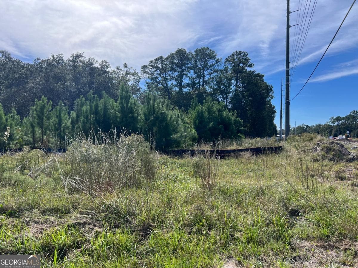 unimproved land for sale at 116 Smith Road, Brunswick, GA 31522 — photo 3
