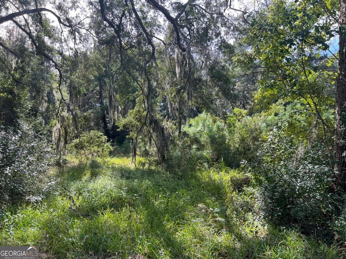 unimproved land for sale at 116 Smith Road, Brunswick, GA 31522 — photo 5