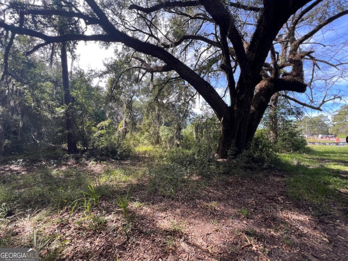 unimproved land for sale at 116 Smith Road, Brunswick, GA 31522 — photo 9