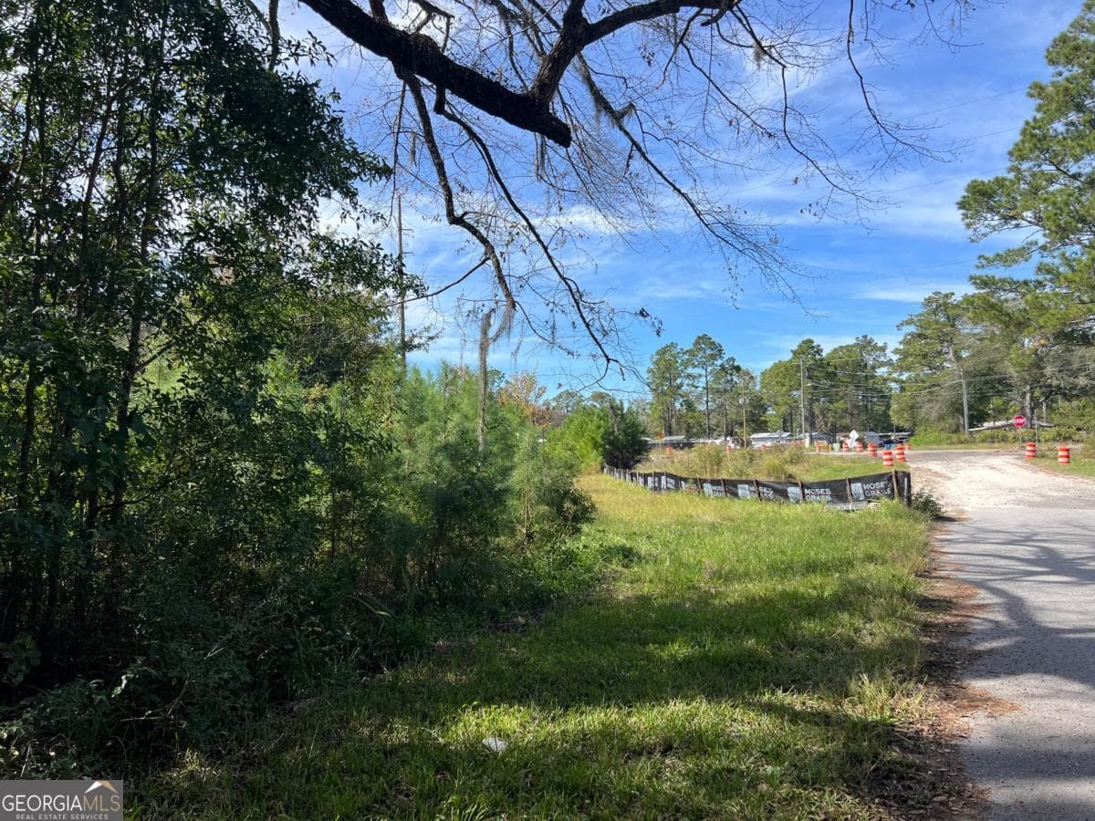unimproved land for sale at 116 Smith Road, Brunswick, GA 31522 — photo 10