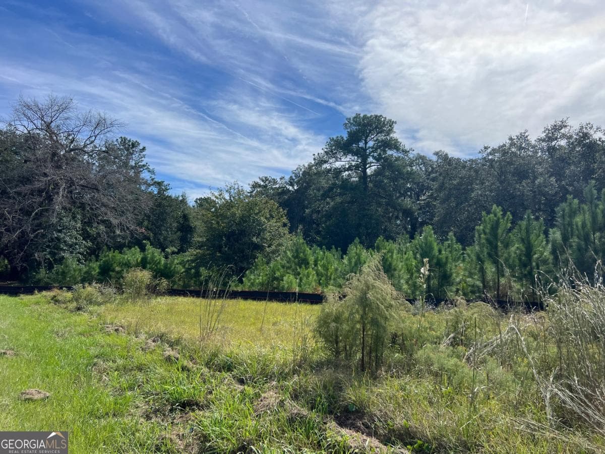 unimproved land for sale at 116 Smith Road, Brunswick, GA 31522 — photo 4