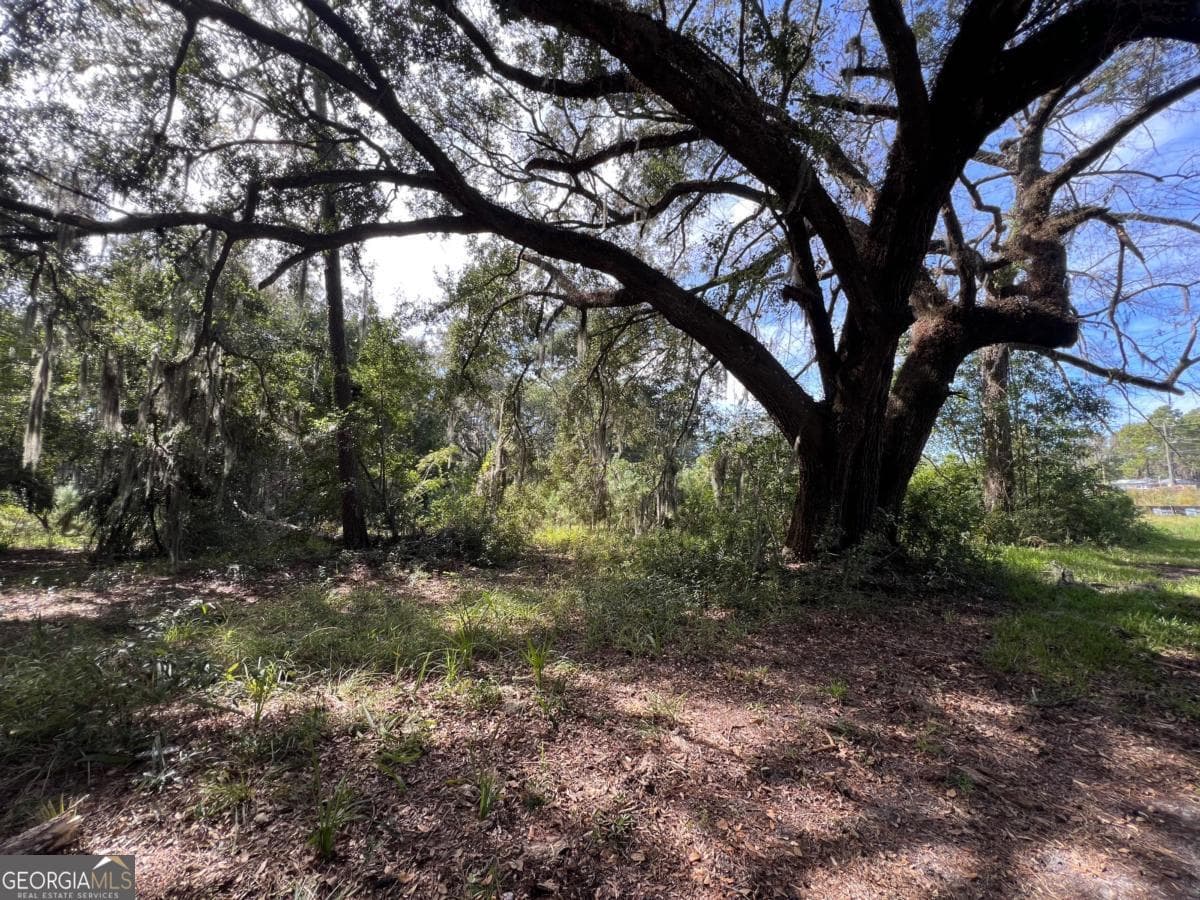 unimproved land for sale at 116 Smith Road, Brunswick, GA 31522 — photo 8