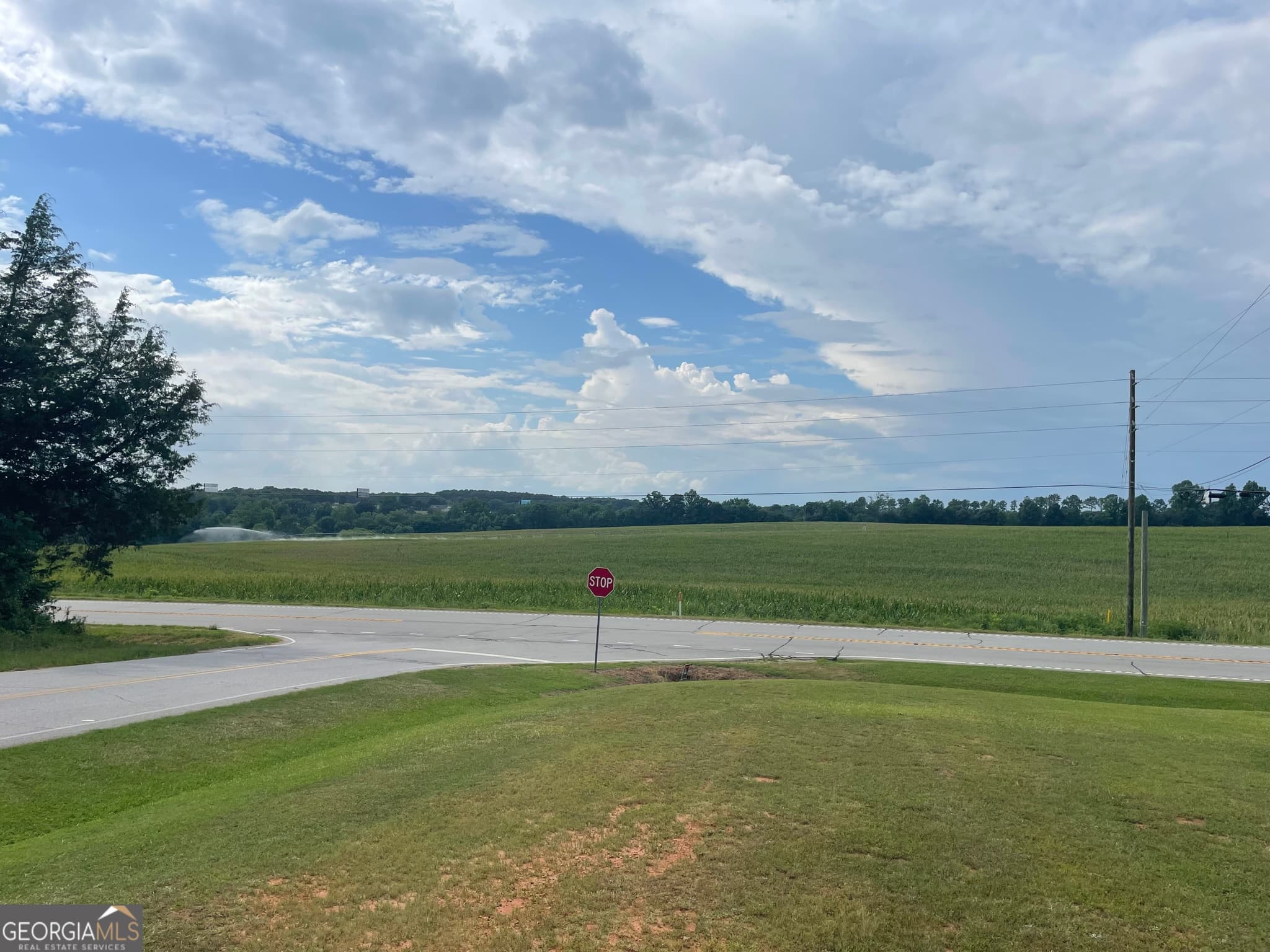 agriculture for sale at 12684 Highway 59, Carnesville, GA 30521 — photo 6