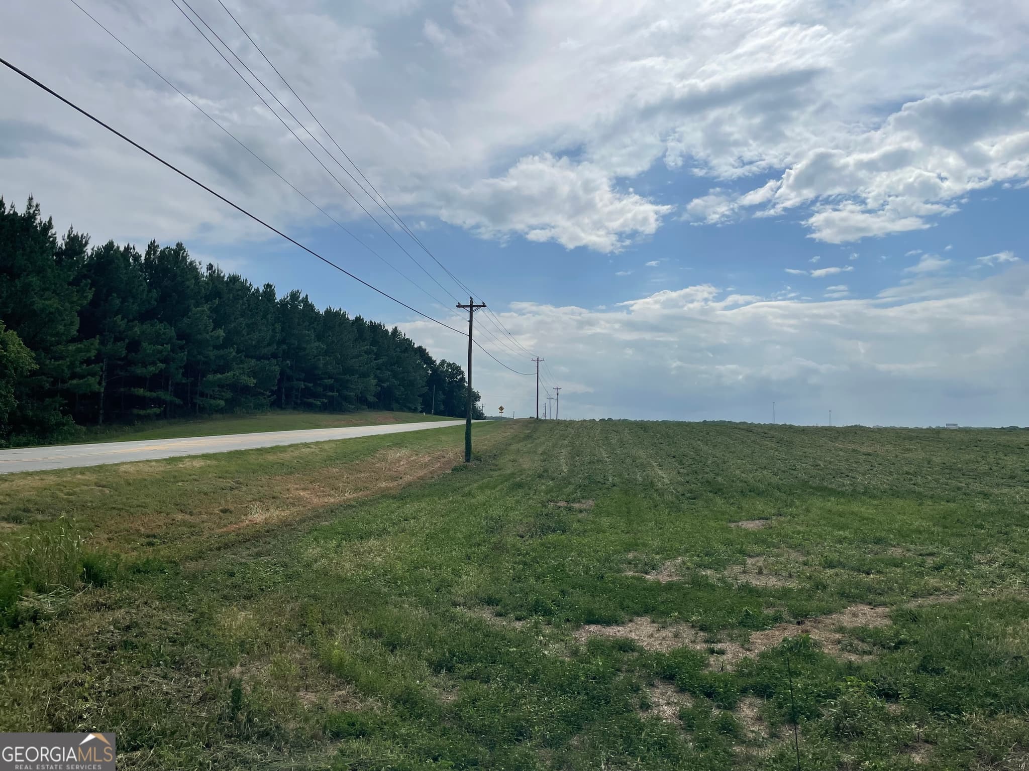 agriculture for sale at 12684 Highway 59, Carnesville, GA 30521 — photo 7