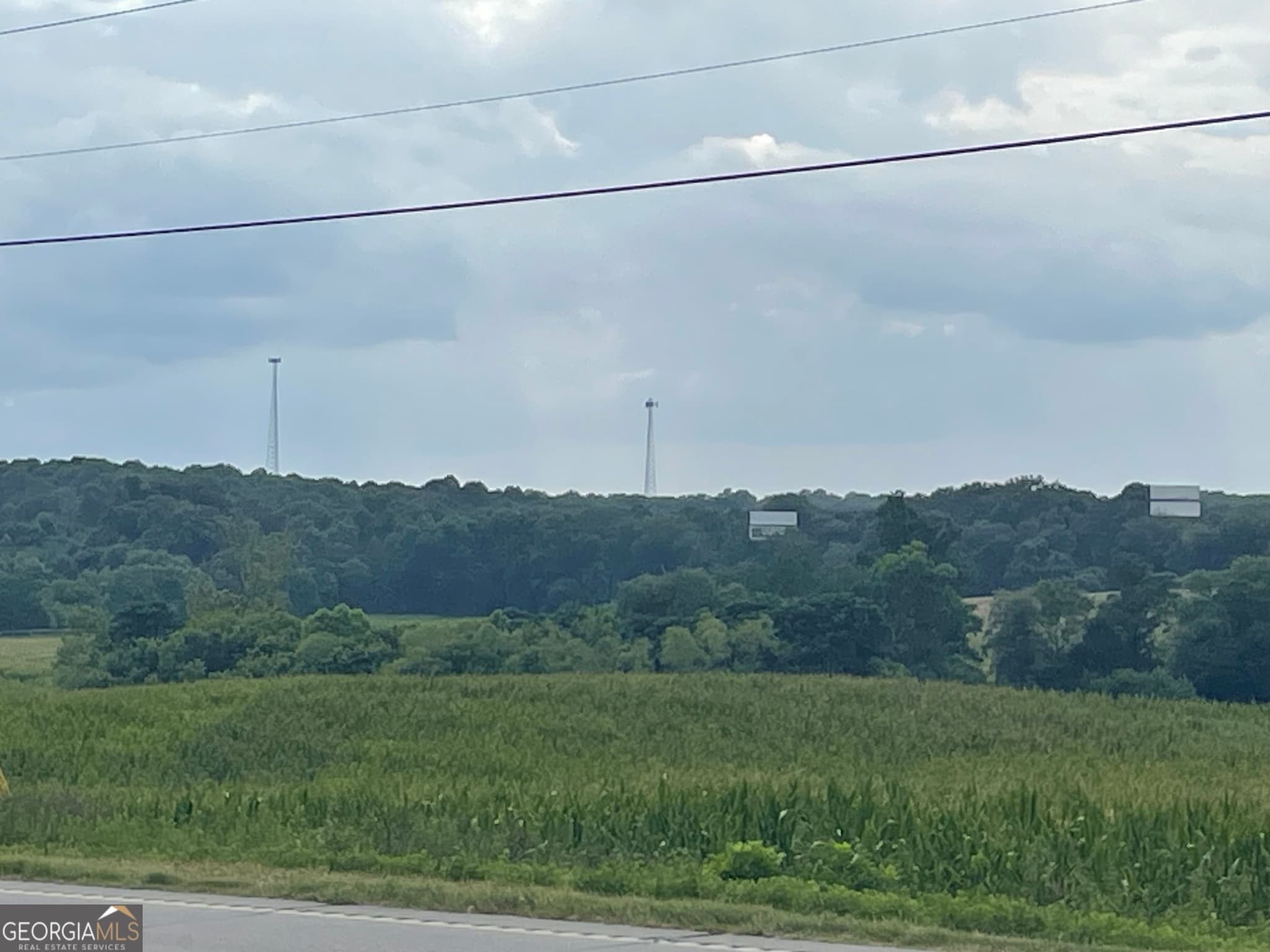 agriculture for sale at 12684 Highway 59, Carnesville, GA 30521 — photo 3