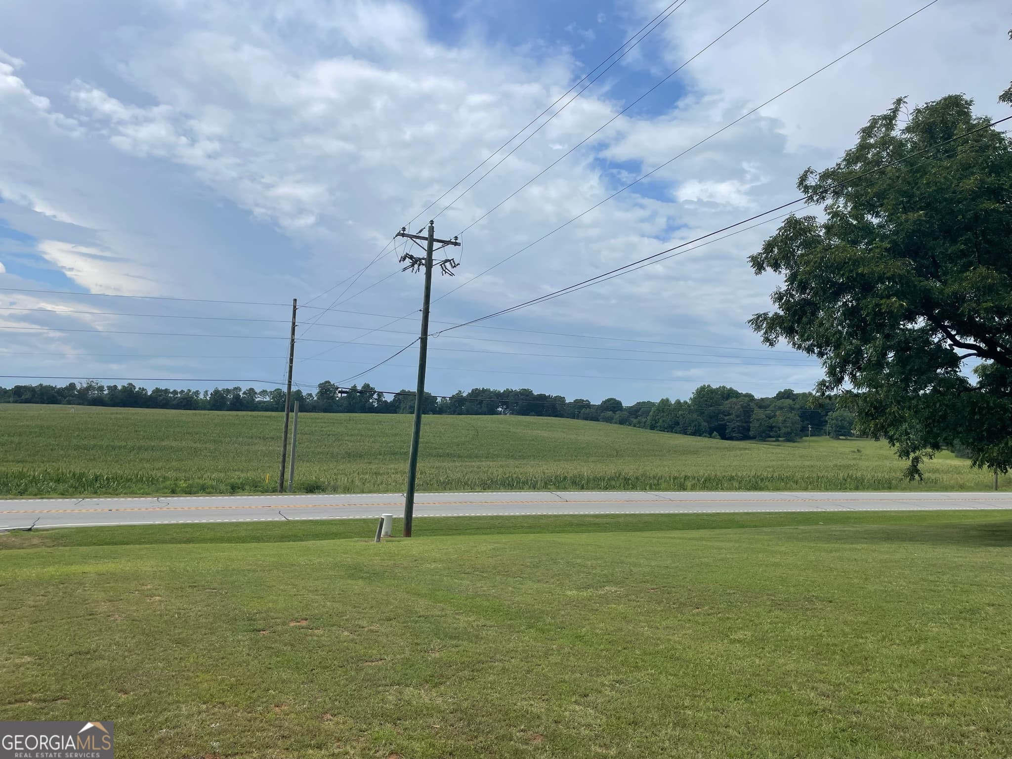 agriculture for sale at 12684 Highway 59, Carnesville, GA 30521 — photo 5